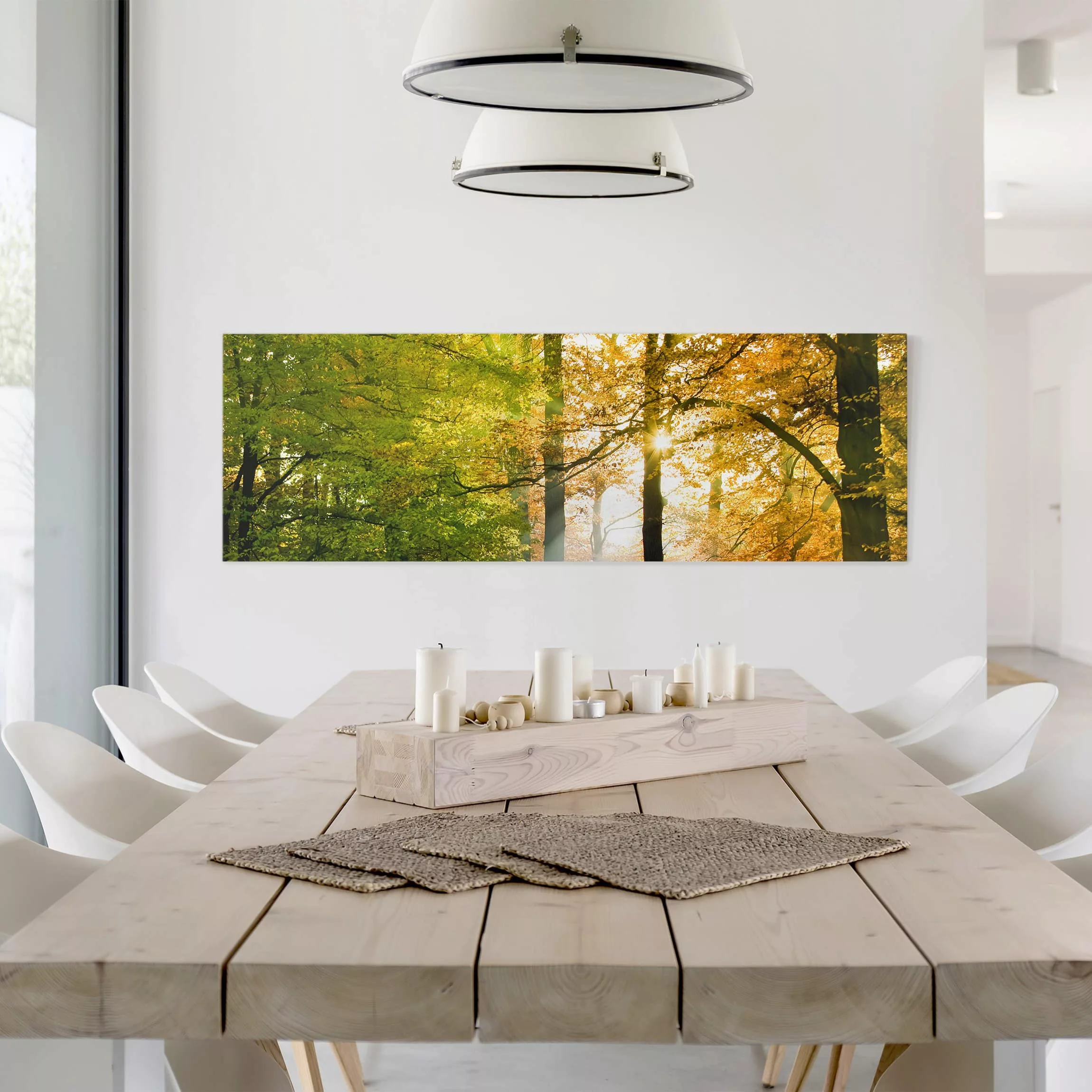 Leinwandbild Wald - Panorama Morning Light günstig online kaufen