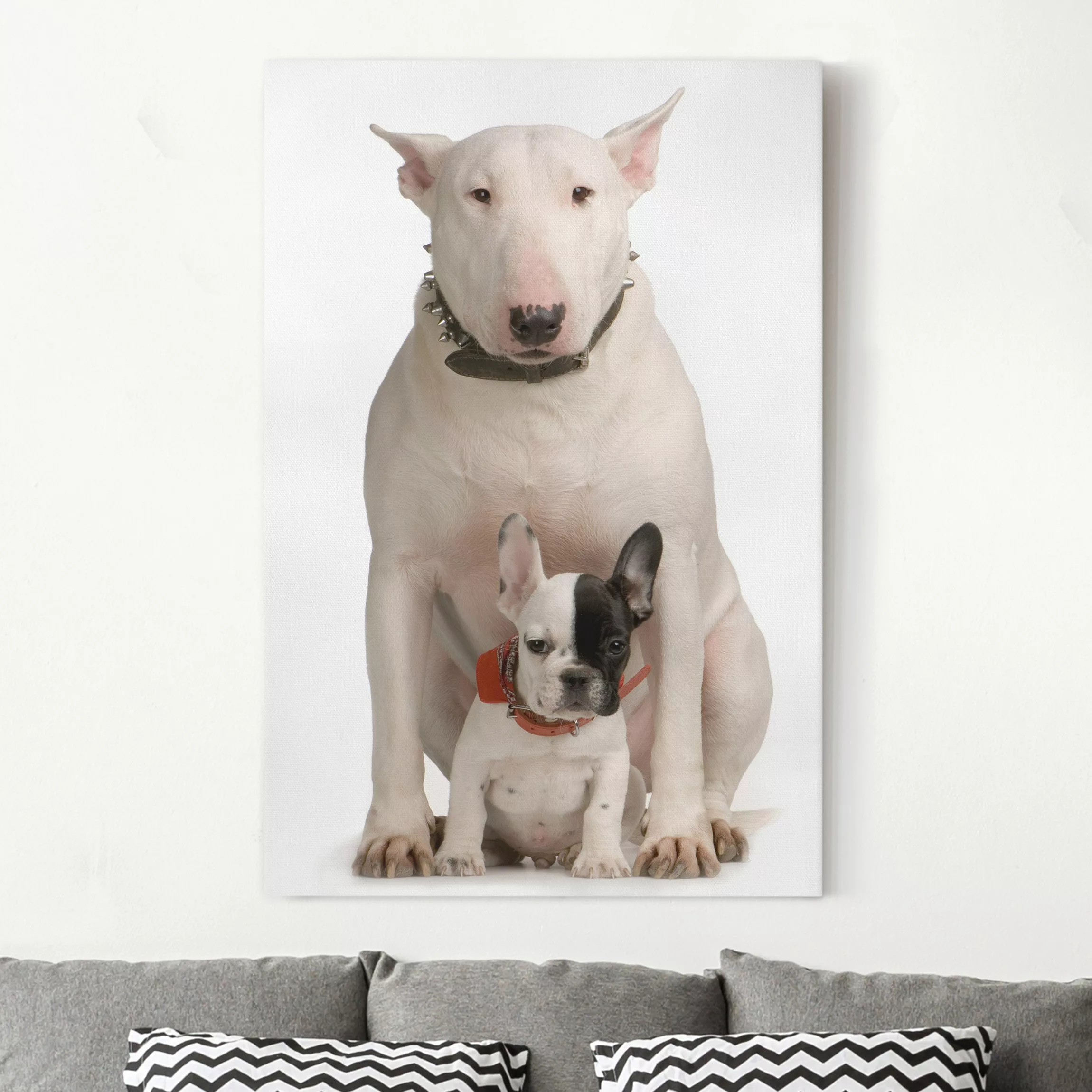 Leinwandbild Tiere - Hochformat Bull Terrier and Friend günstig online kaufen