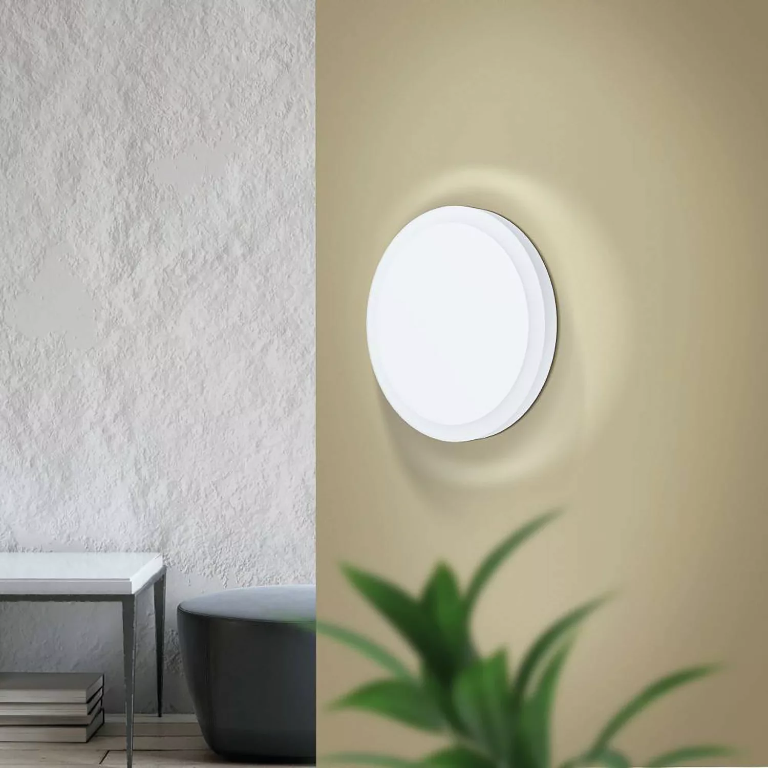 LED Wand- und Deckenleuchte Mongodio in Weiß 8,6W 920lm günstig online kaufen