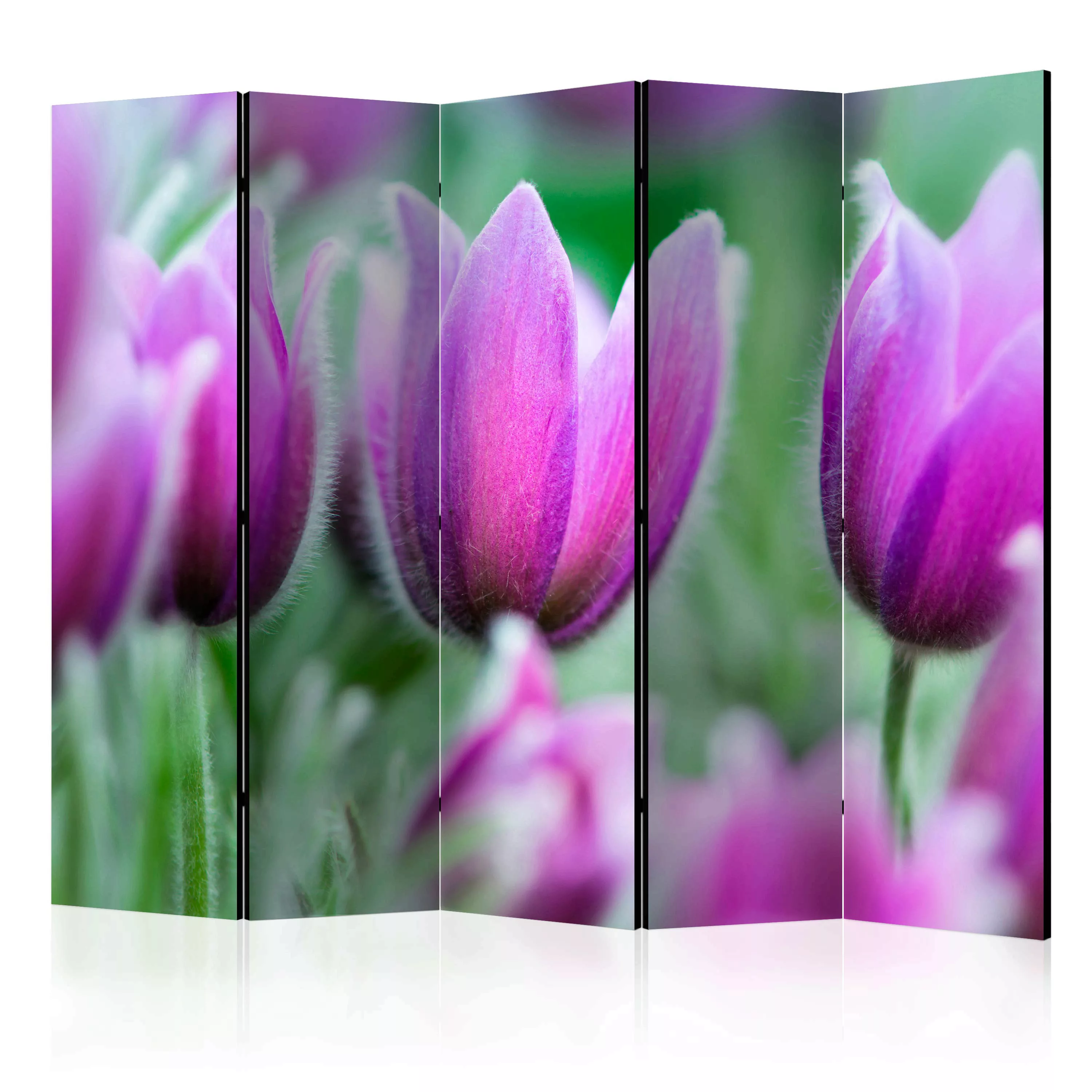 5-teiliges Paravent - Purple Spring Tulips Ii [room Dividers] günstig online kaufen