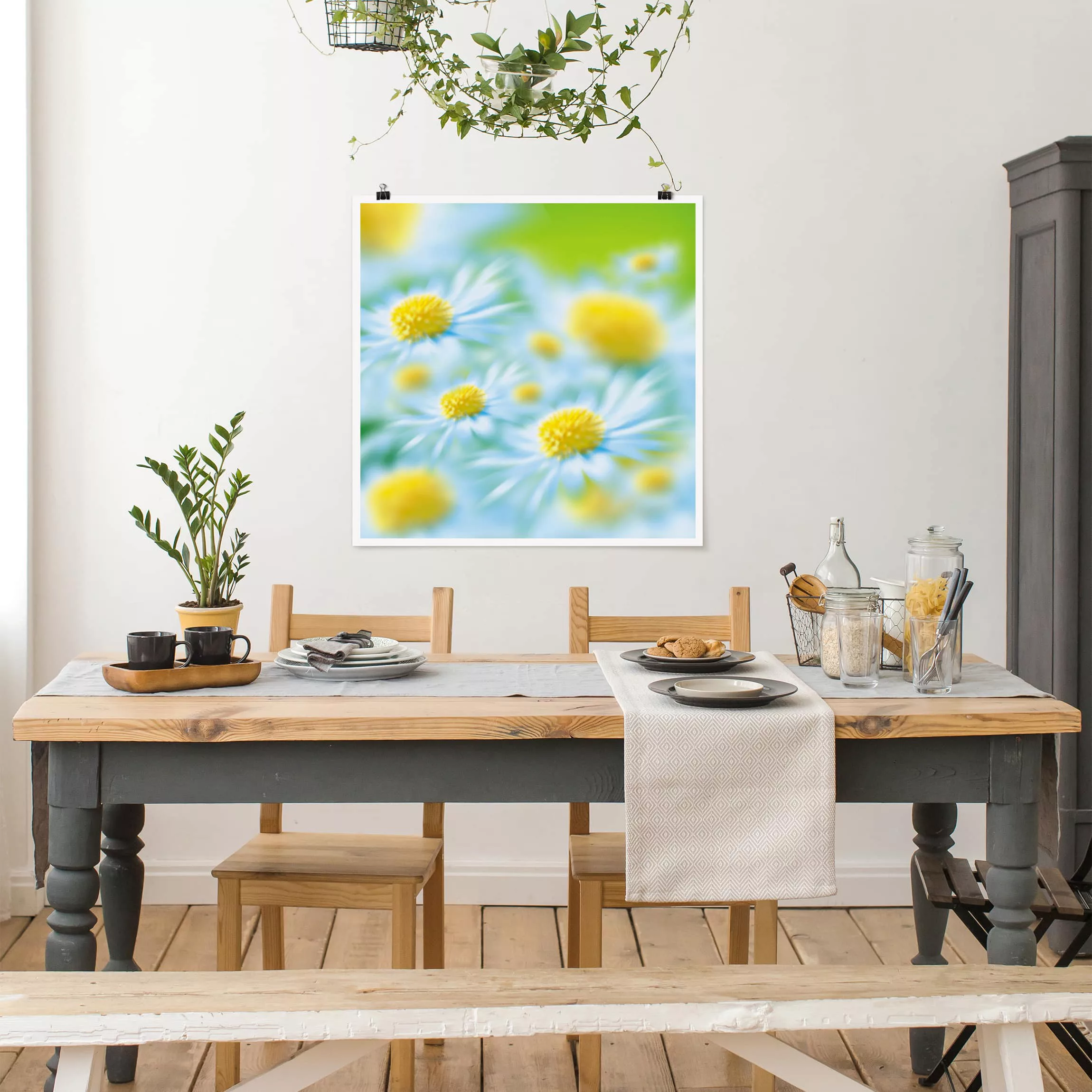 Poster Blumen - Quadrat Daisy günstig online kaufen