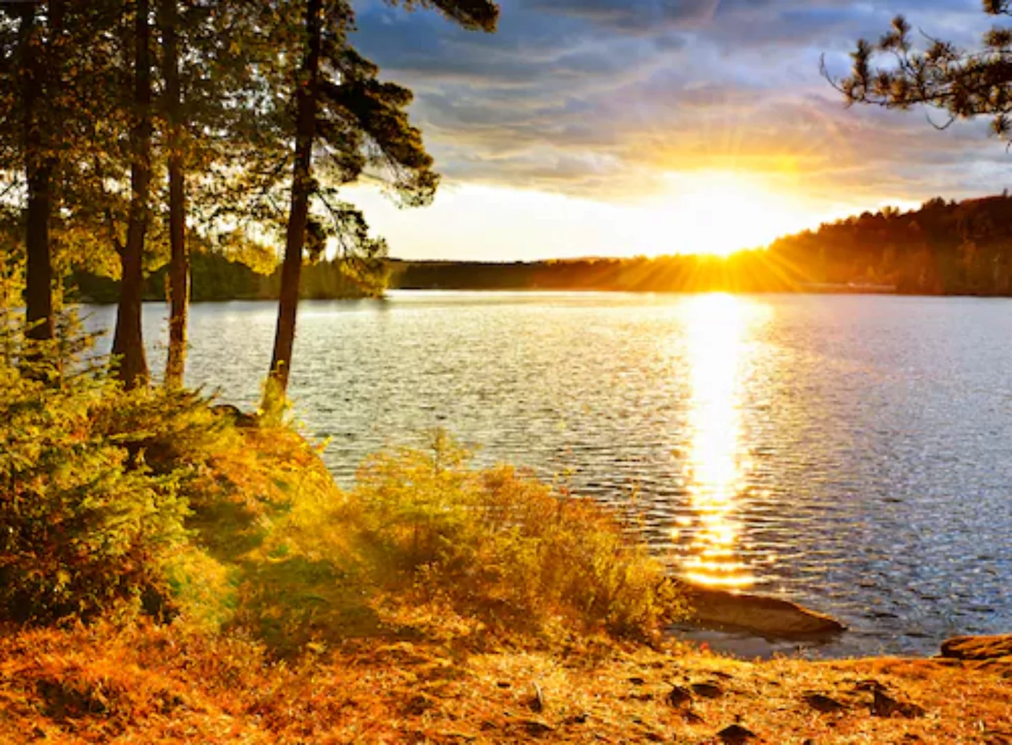 Papermoon Fototapete »Algonquin Park Lake« günstig online kaufen