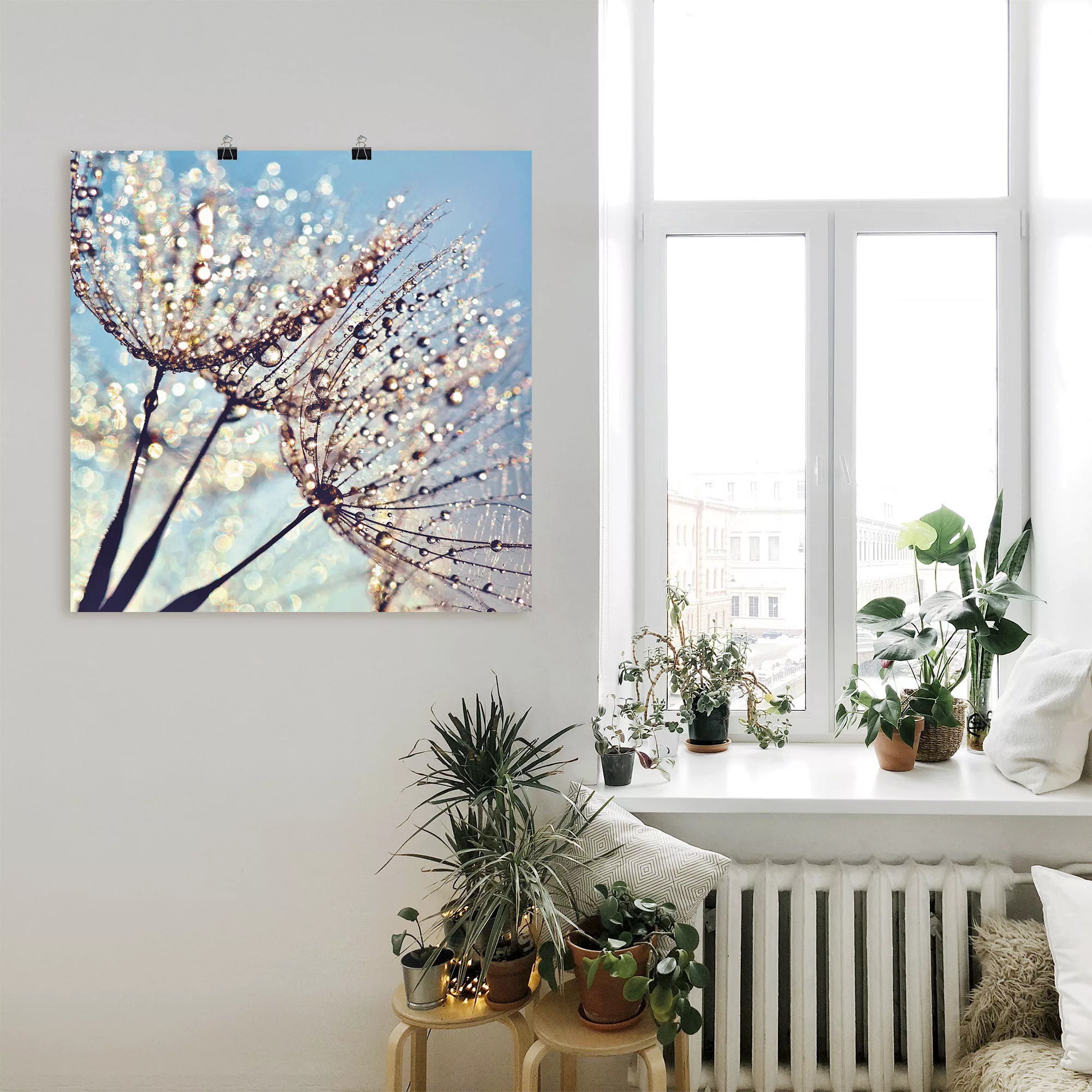 Artland Wandbild "Pusteblume Tröpfchenfänger", Blumen, (1 St.) günstig online kaufen