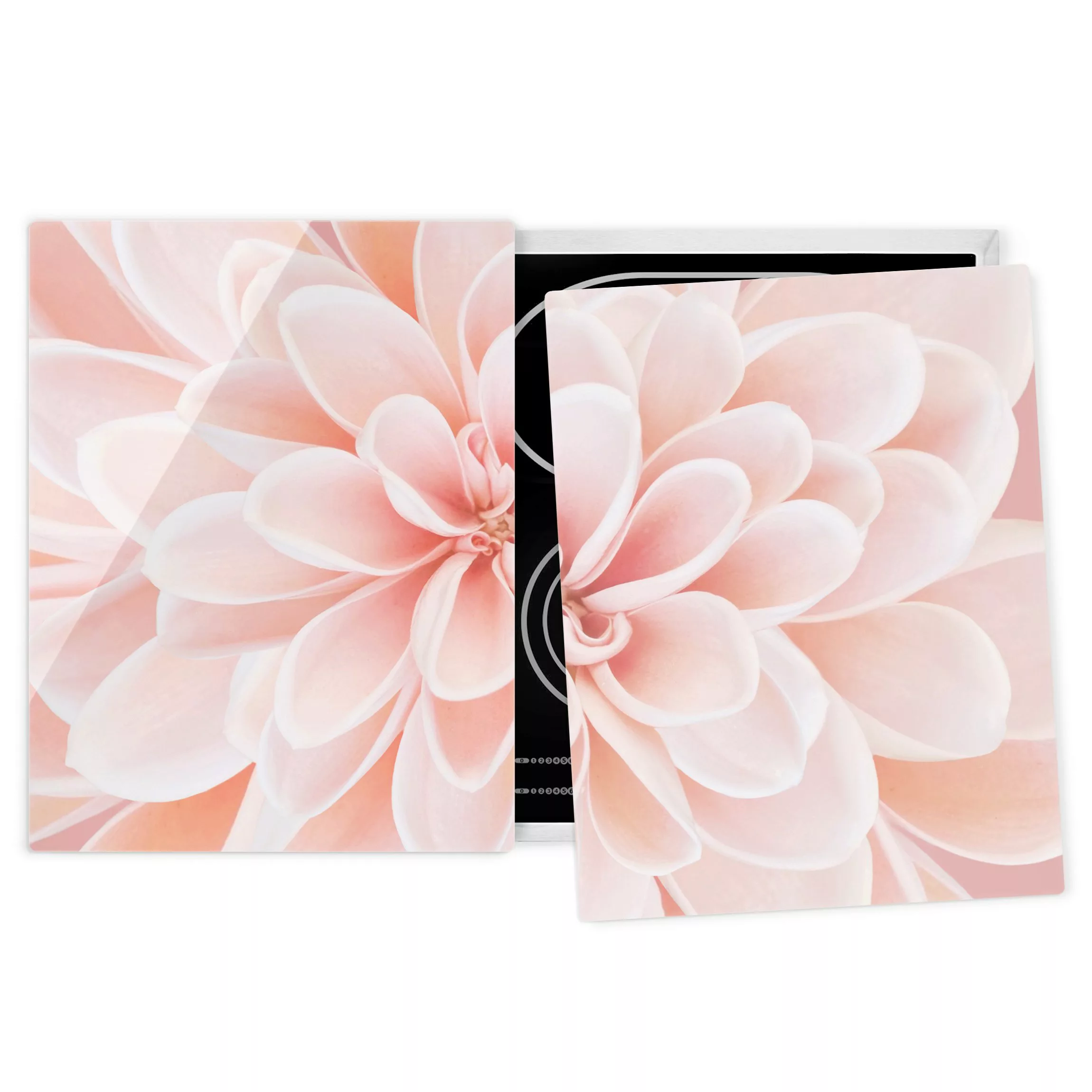 Herdabdeckplatte Blumen Dahlie in Pastellrosa günstig online kaufen