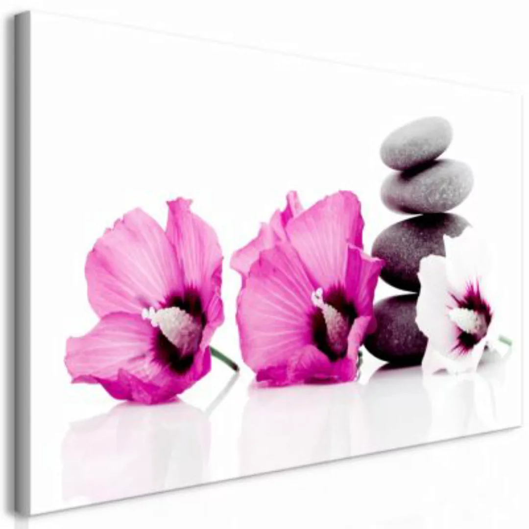 artgeist Wandbild Calm Mallow (1 Part) Pink mehrfarbig Gr. 70 x 35 günstig online kaufen