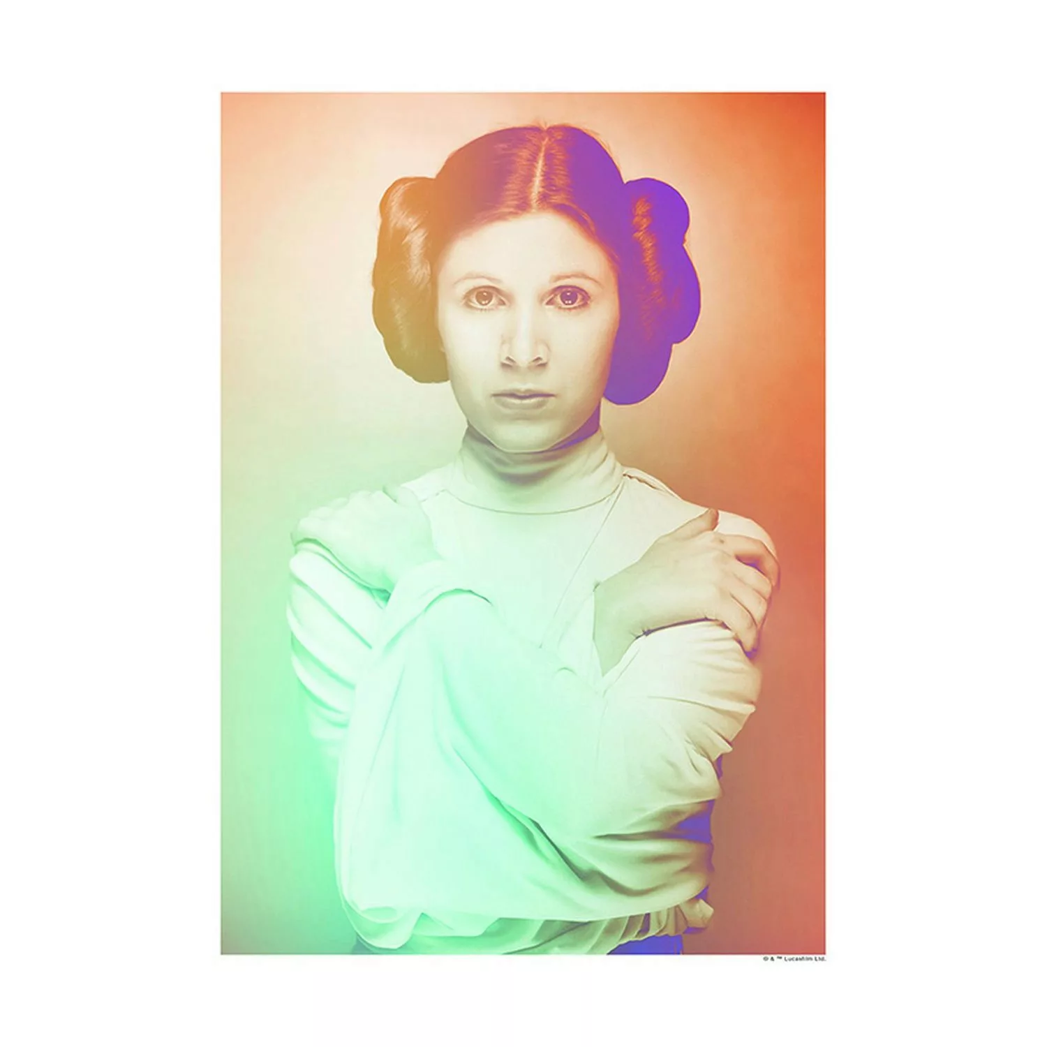 Disney Poster Star Wars Leia Orange und Grün 30 x 40 cm 611657 günstig online kaufen