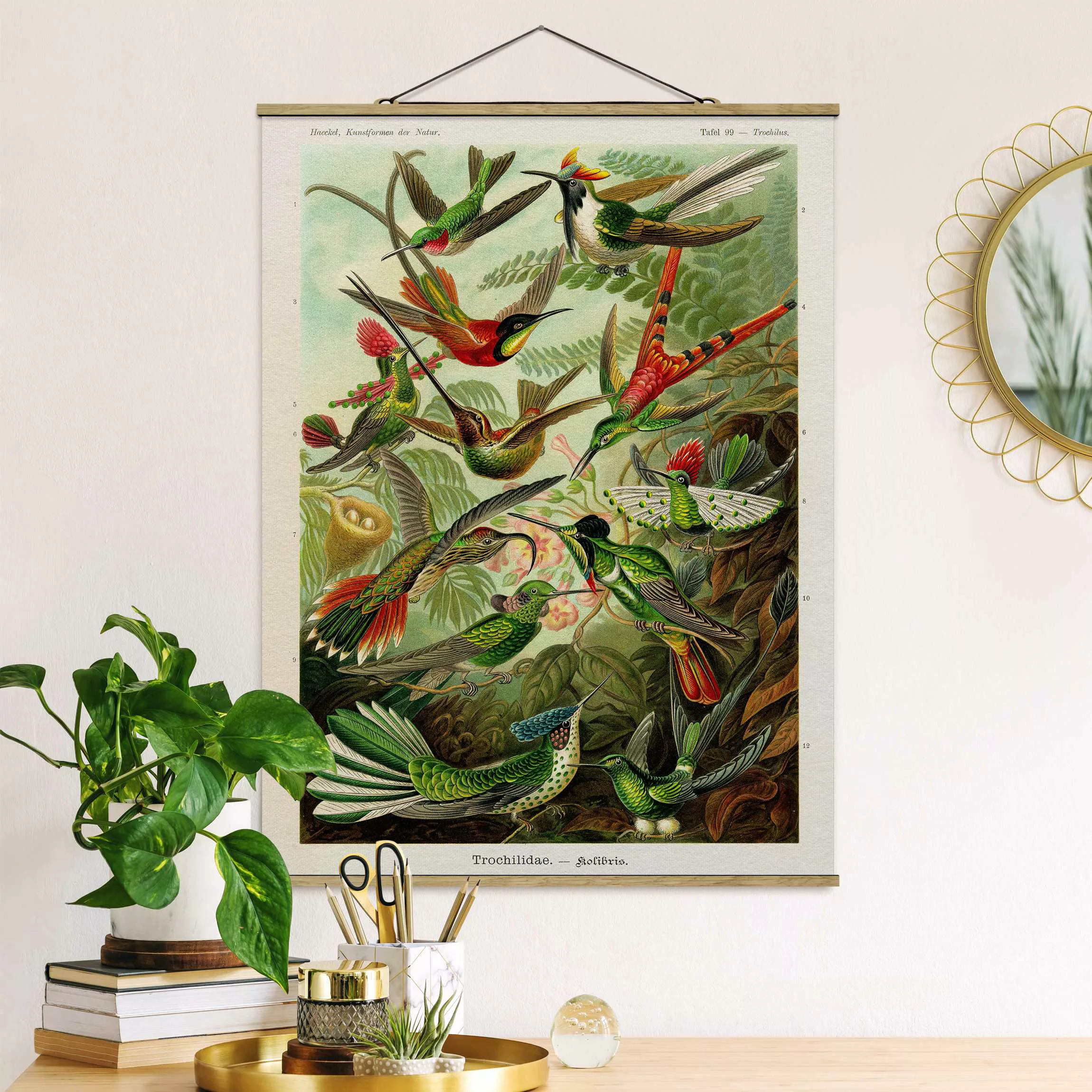 home24 Stoffbild Vintage Lehrtafel Kolibris günstig online kaufen