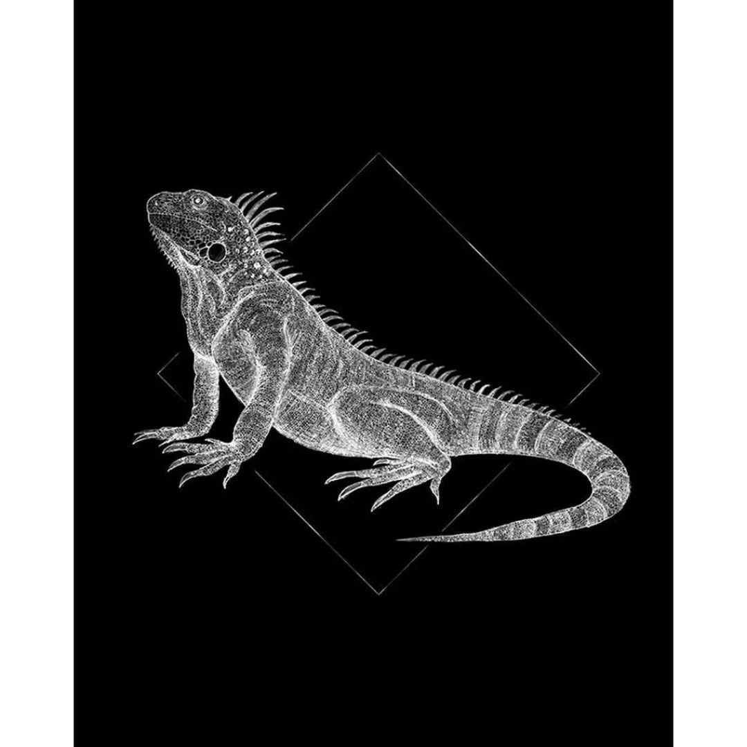 Komar Wandbild Iguana Black Tiere B/L: ca. 40x50 cm günstig online kaufen