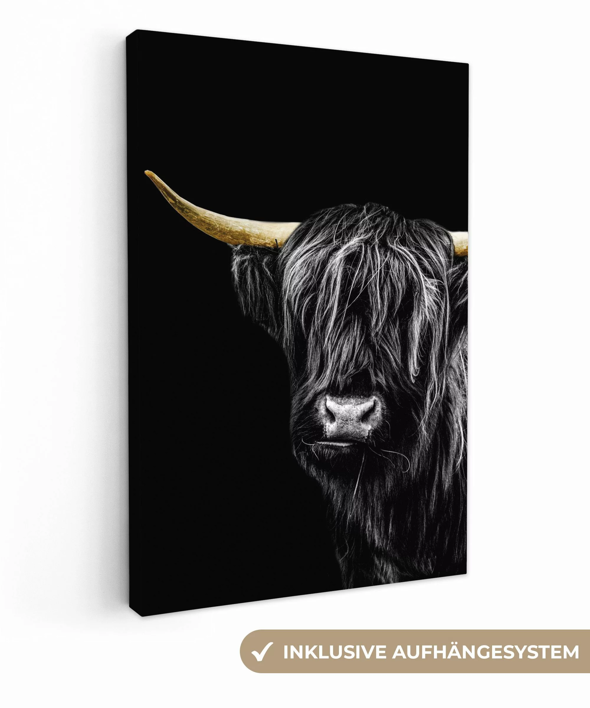 OneMillionCanvasses® Leinwandbild Schottischer Highlander - Gold günstig online kaufen