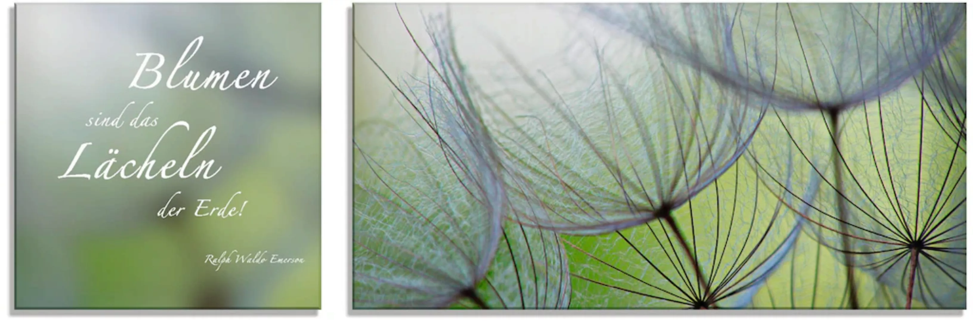 Artland Glasbild "Zitatenbild, Pusteblumen-Samen", Sprüche & Texte, (2 St.) günstig online kaufen