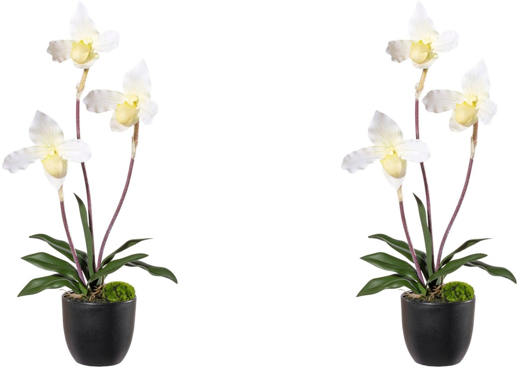 Creativ green Kunstorchidee "Orchidee Frauenschuh", mit Real-Touch-Blüten günstig online kaufen