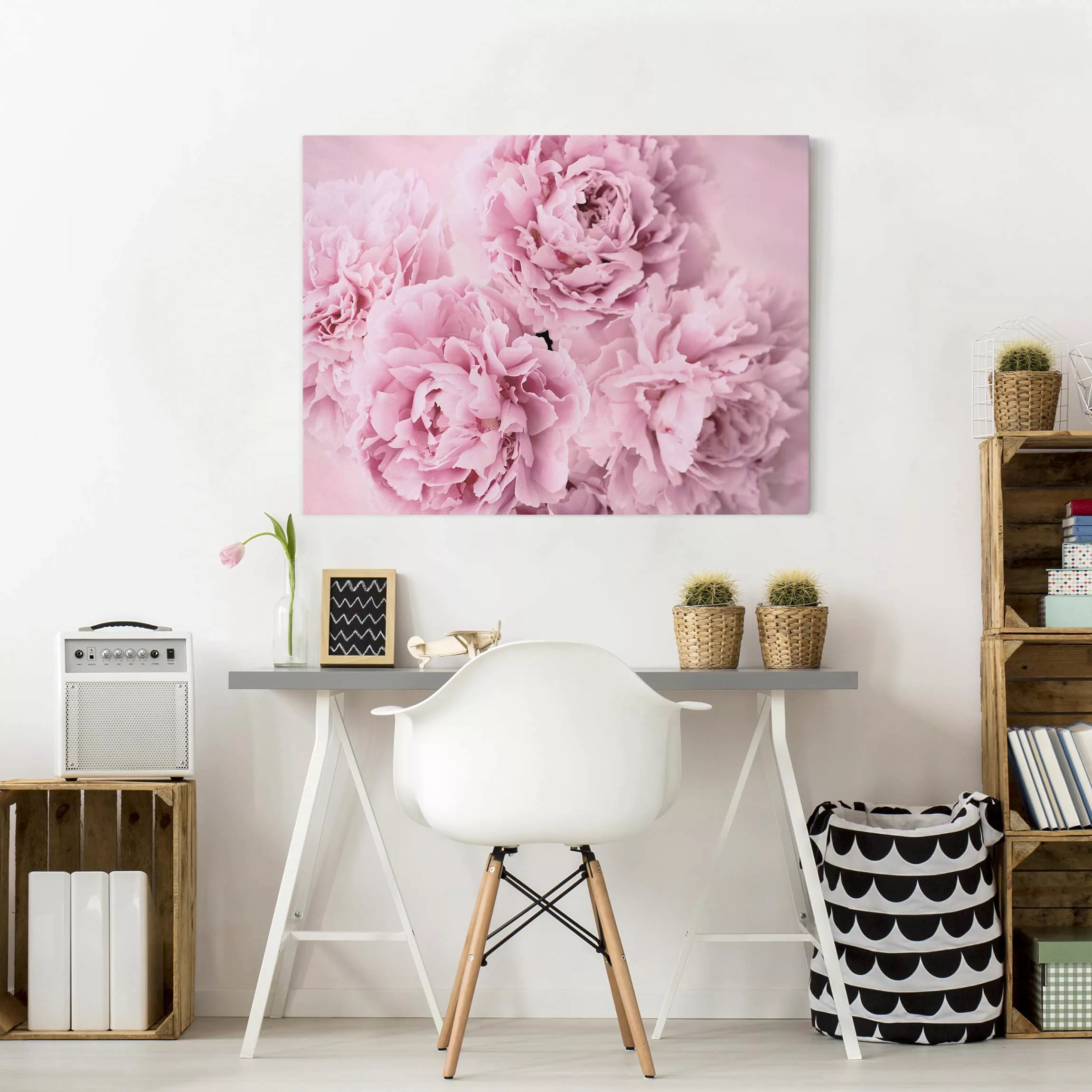 Leinwandbild Blumen - Querformat Rosa Pfingstrosen günstig online kaufen