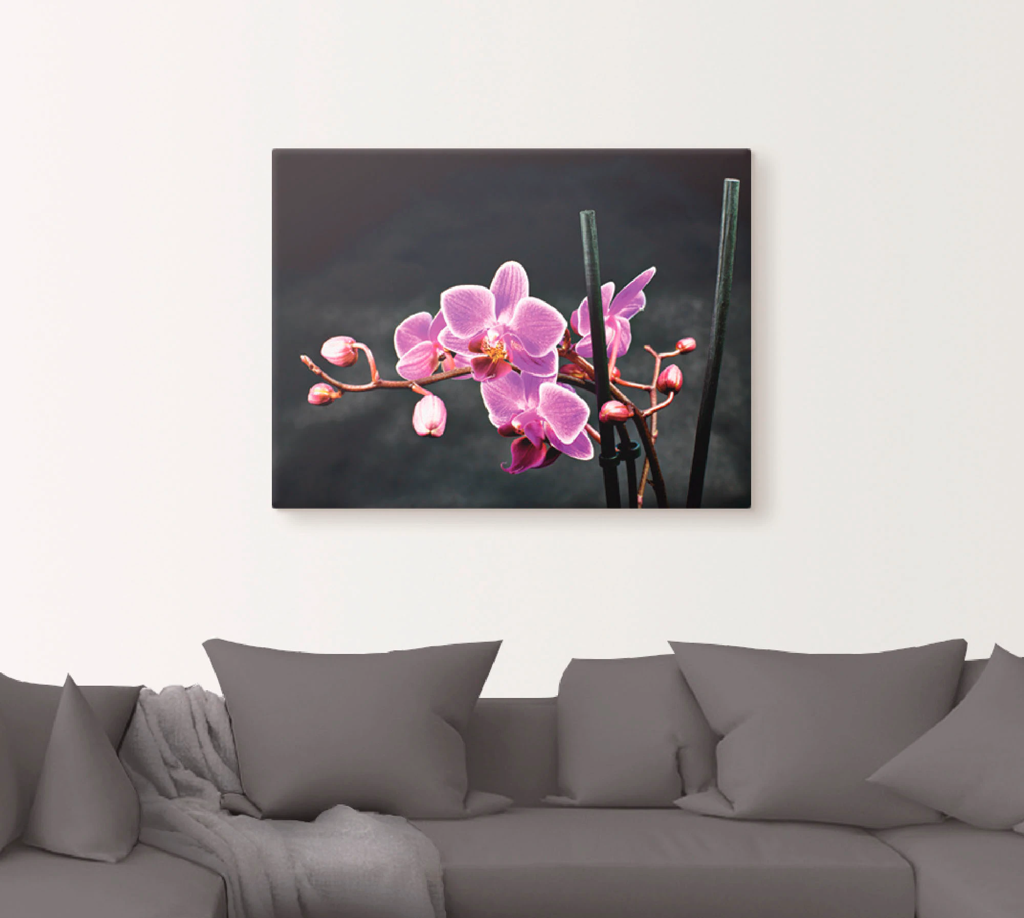 Artland Wandbild "Eine Orchidee vor schwarzem Hintergrund", Blumen, (1 St.) günstig online kaufen