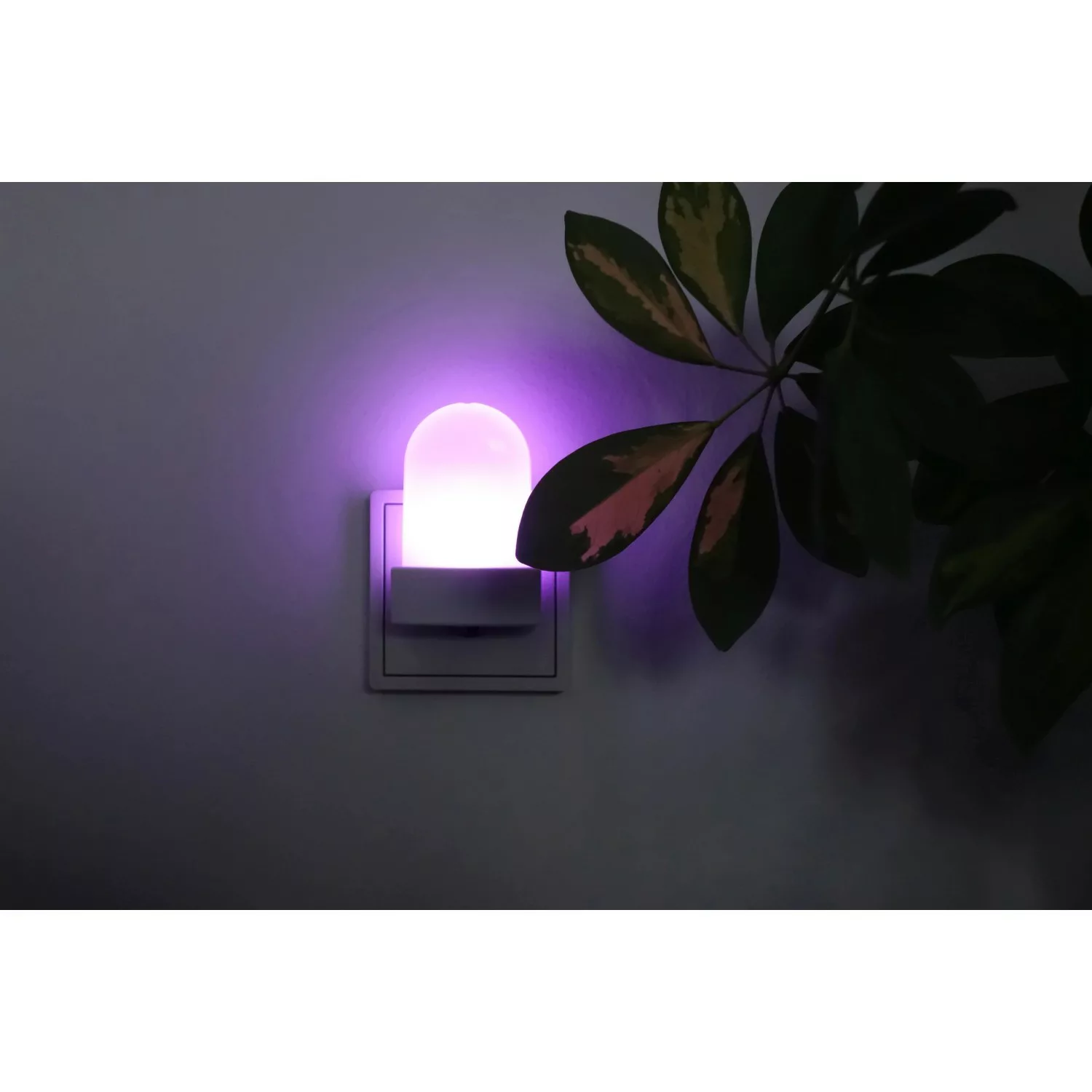 Müller-Licht LED-Nachtlicht Bunda Weiß mit Sensor günstig online kaufen