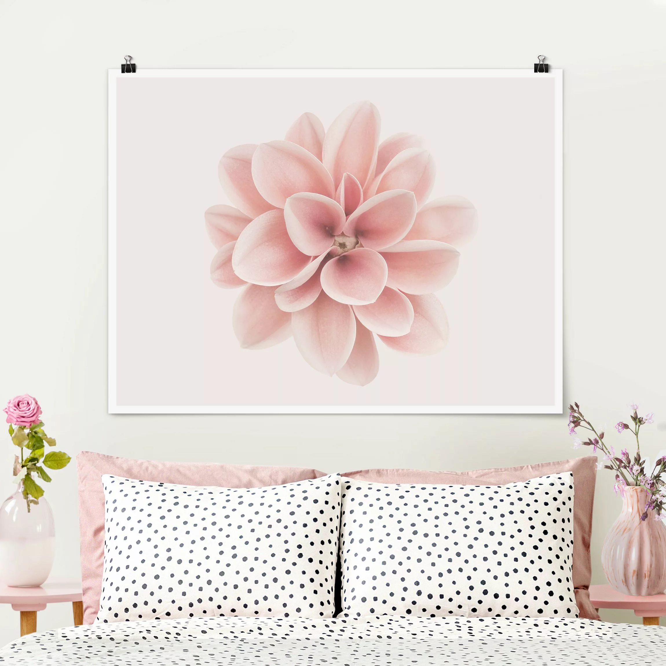 Poster Fotografie Dahlie Rosa Pastell Blume Zentriert günstig online kaufen