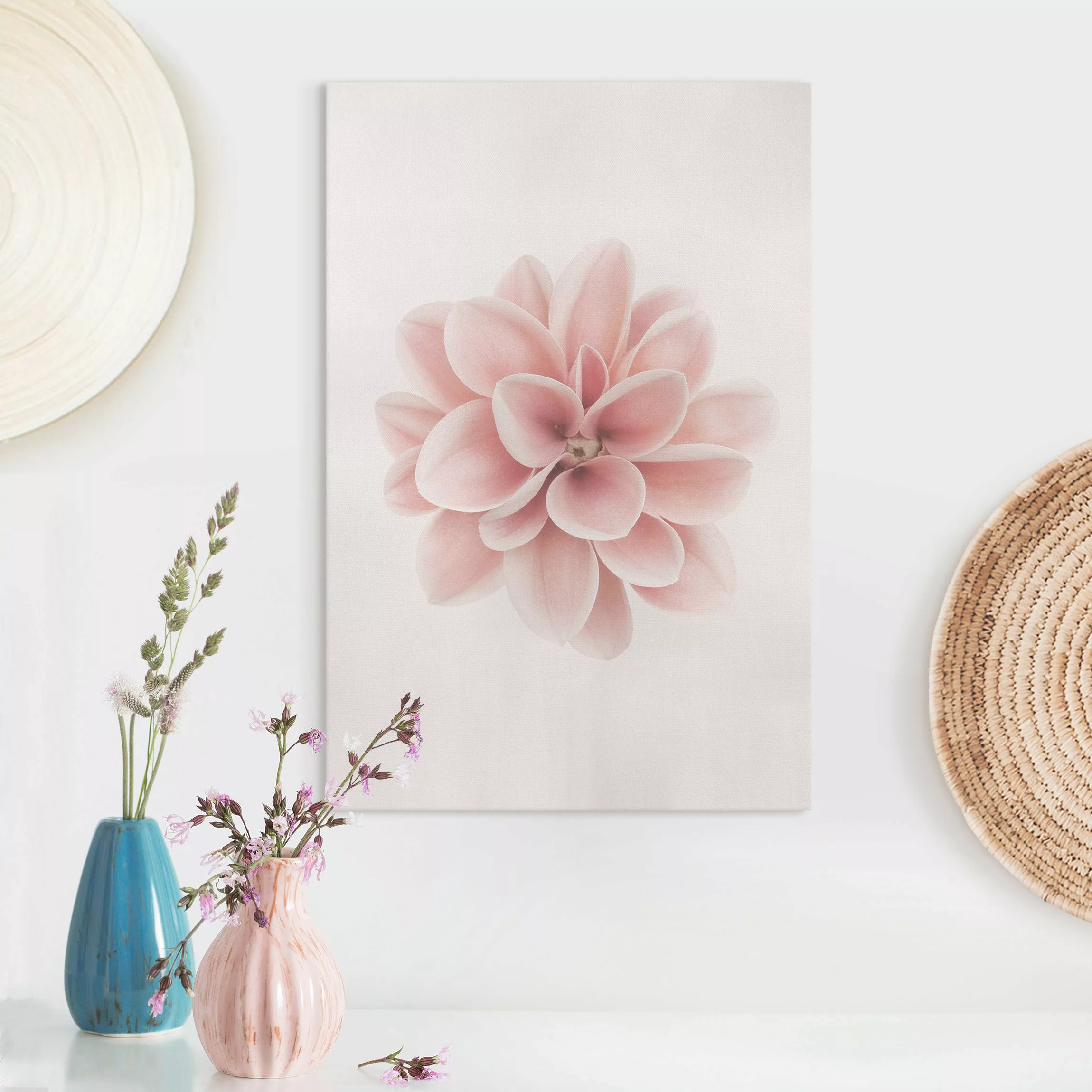 Leinwandbild Dahlie Rosa Pastell Blume Zentriert günstig online kaufen