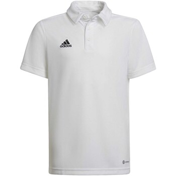 adidas  T-Shirts & Poloshirts - günstig online kaufen