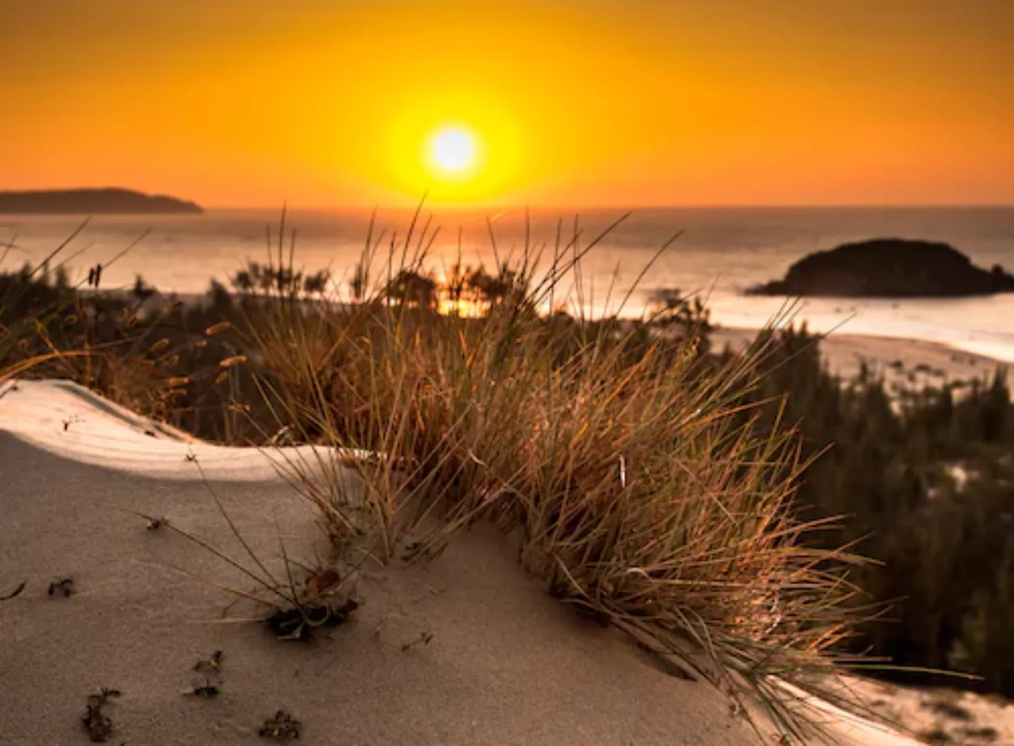 Papermoon Fototapete »Glowing Sun Bush View« günstig online kaufen