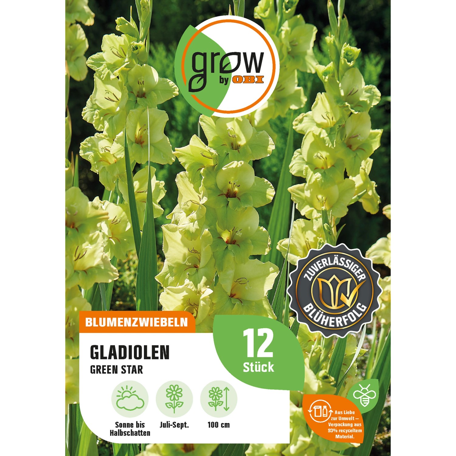 GROW by OBI Gladiole Green Star Höhe ca. 100 cm Gladiolus grandiflorus günstig online kaufen