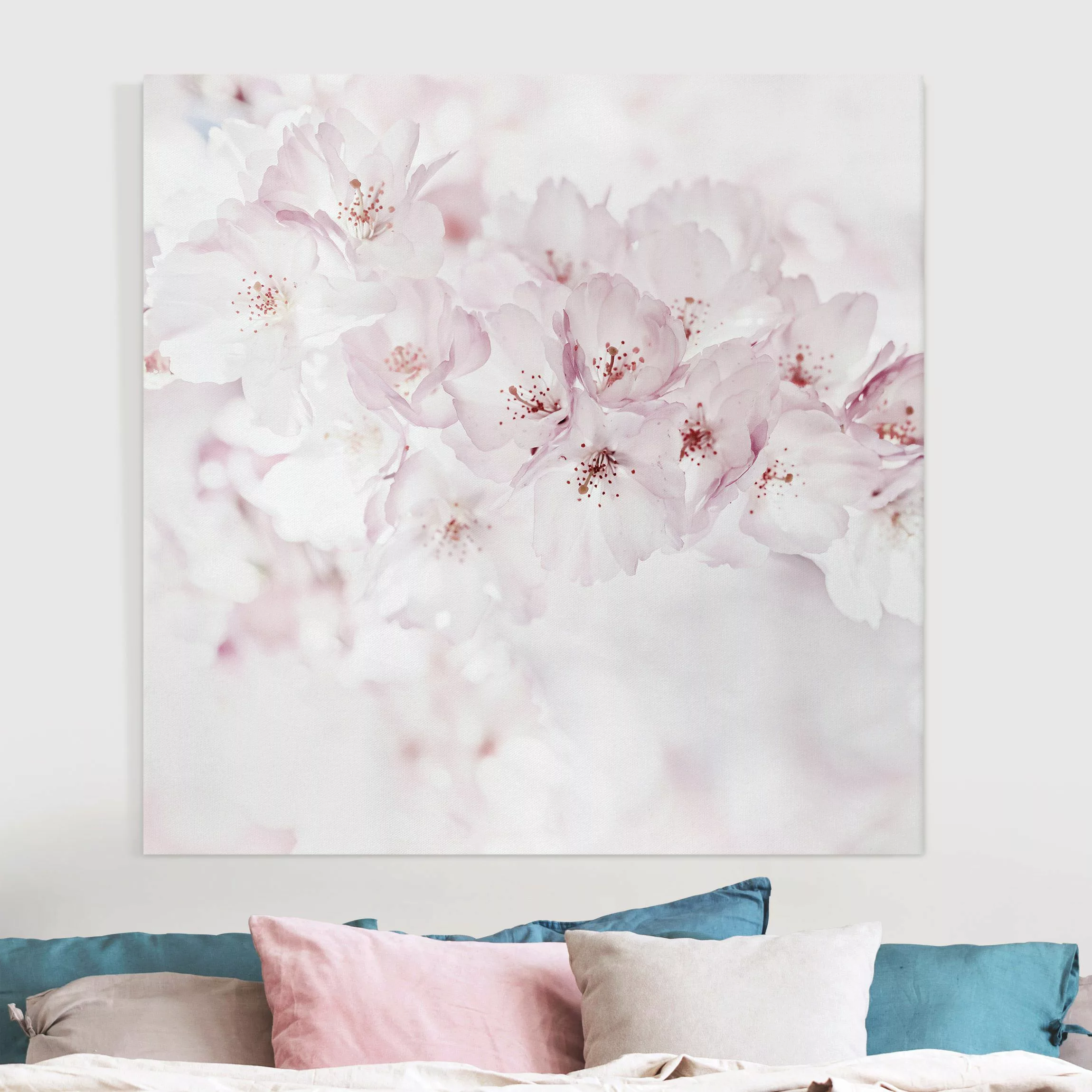 Leinwandbild Ein Kirschblütenhauch günstig online kaufen