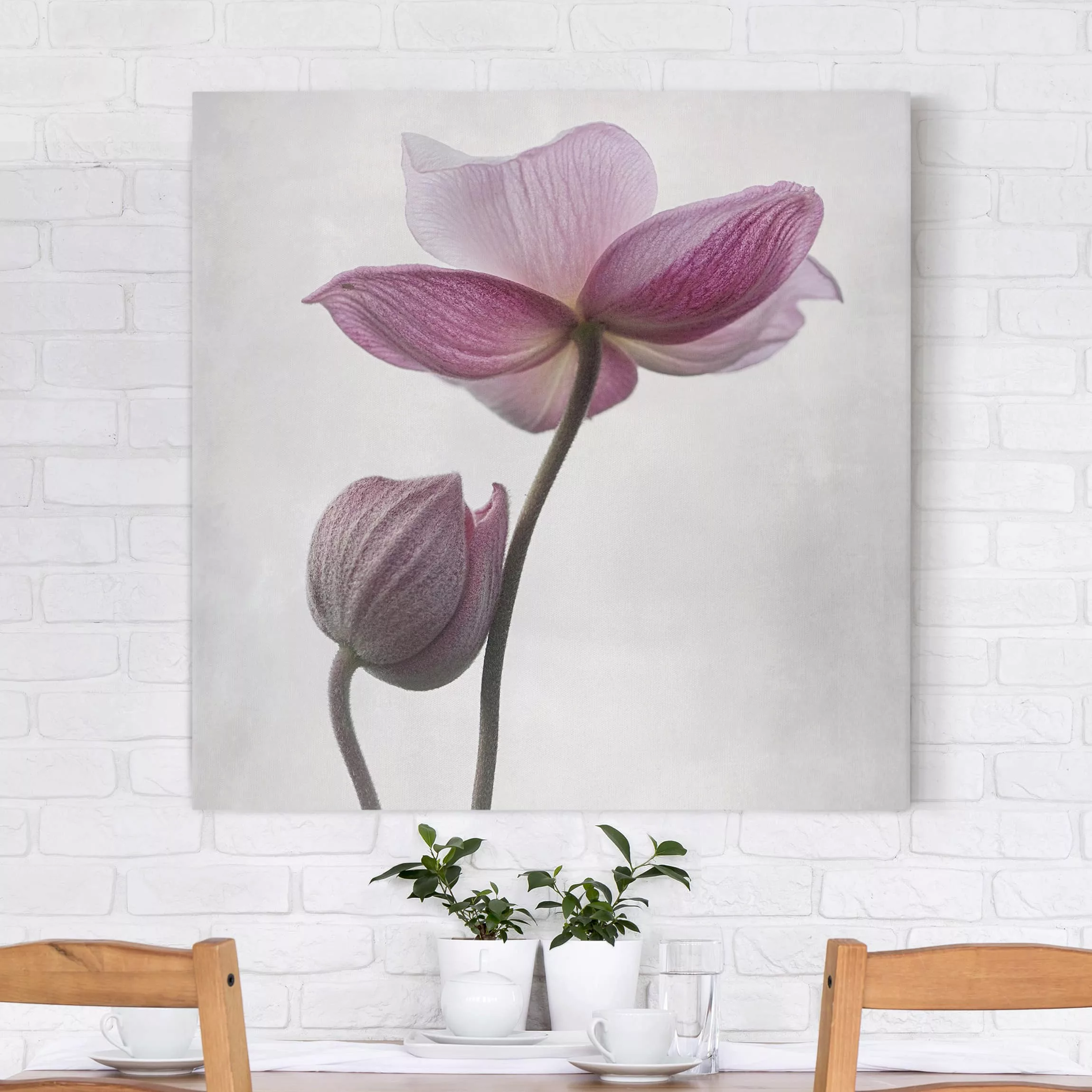 Leinwandbild - Quadrat Anemonen in rosa günstig online kaufen