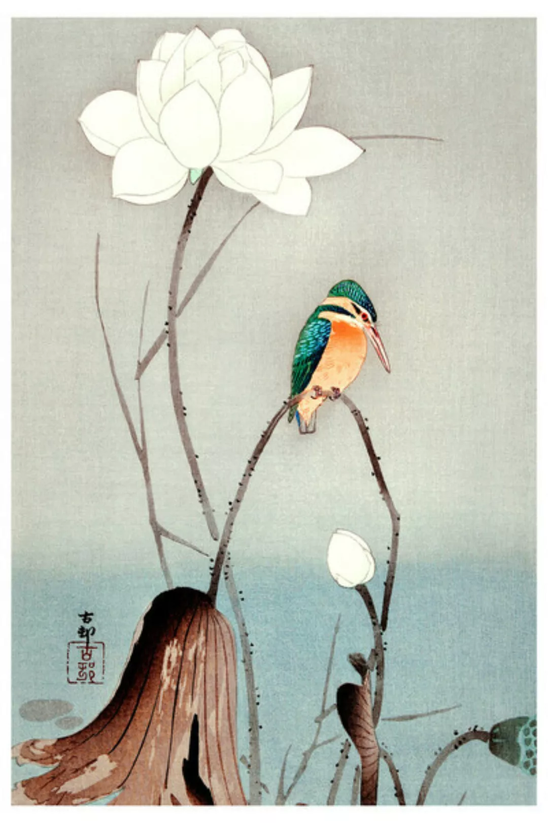 Poster / Leinwandbild - Vintage Illustration Eisvogel günstig online kaufen