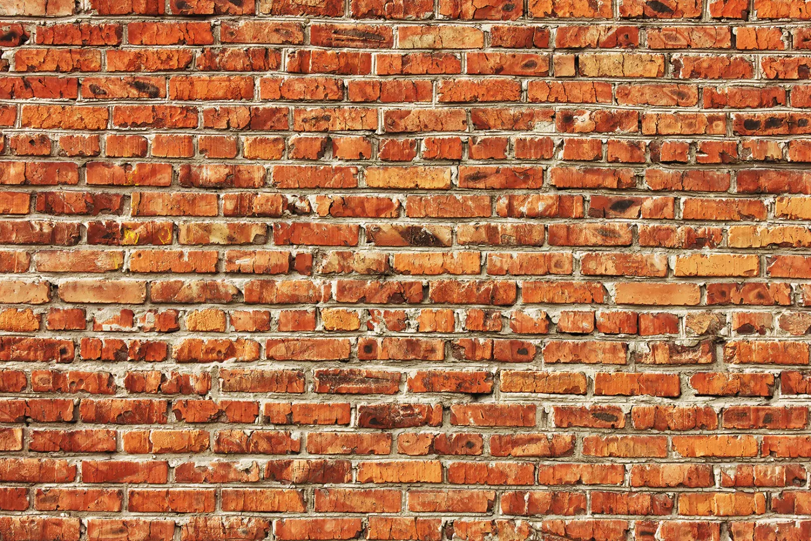 Papermoon Fototapete »Red Brick Wall« günstig online kaufen