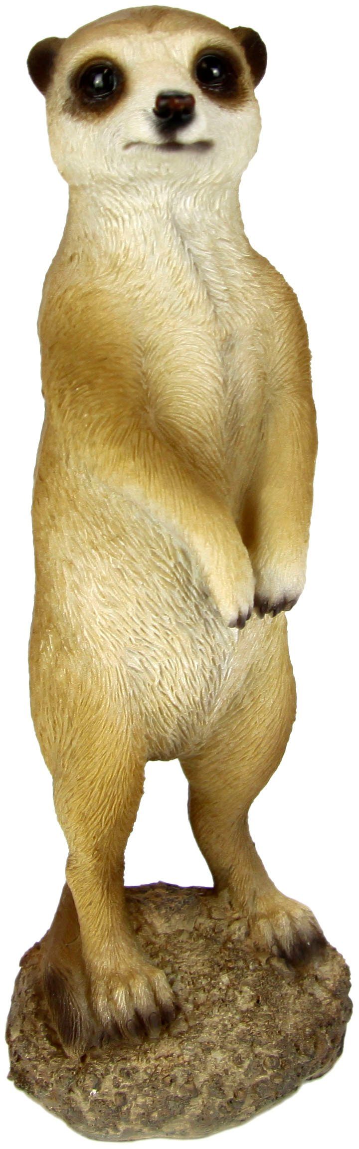 I.GE.A. Dekofigur Erdmännchen, Tierfigur günstig online kaufen