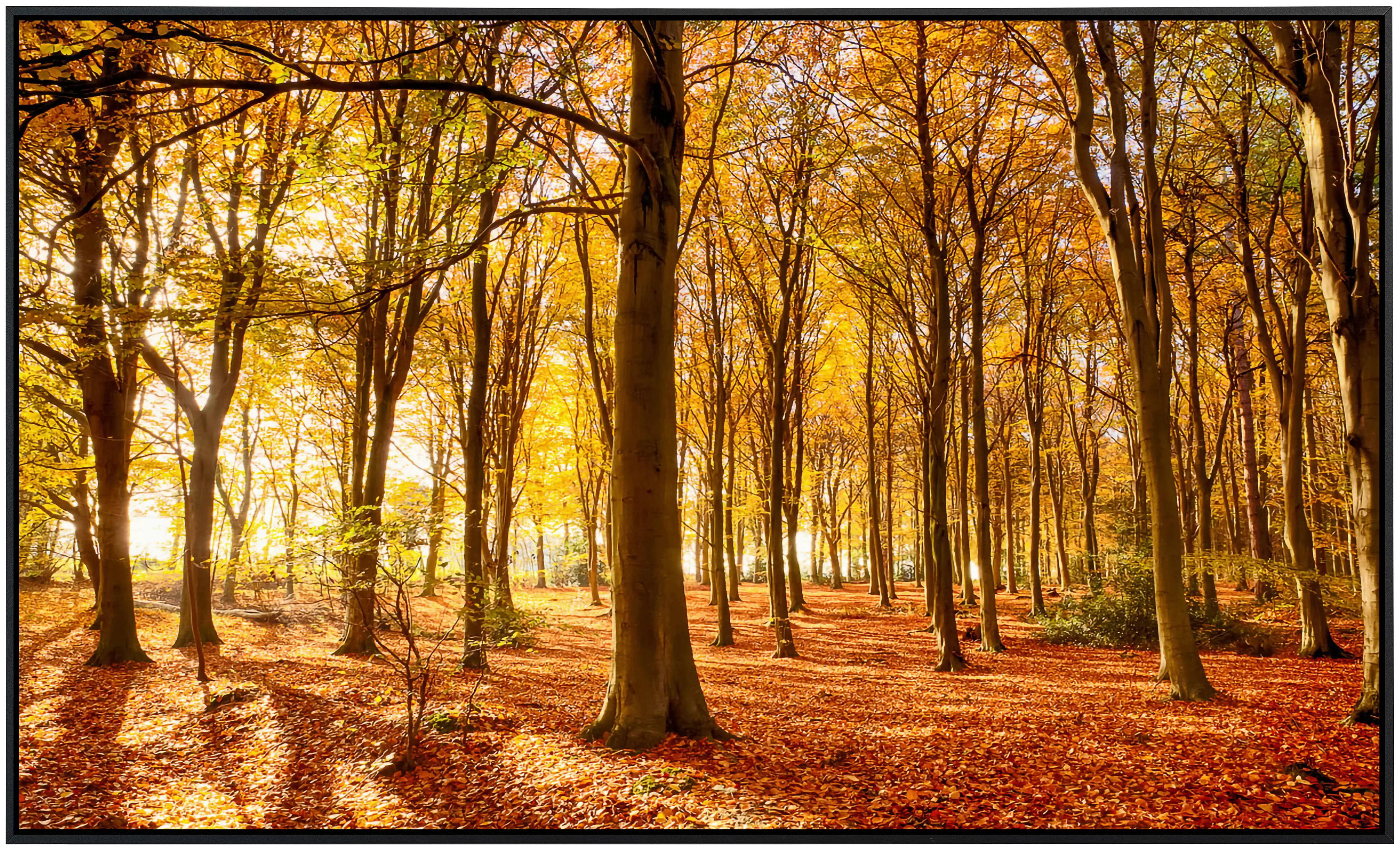 Papermoon Infrarotheizung »Herbstwald«, sehr angenehme Strahlungswärme günstig online kaufen