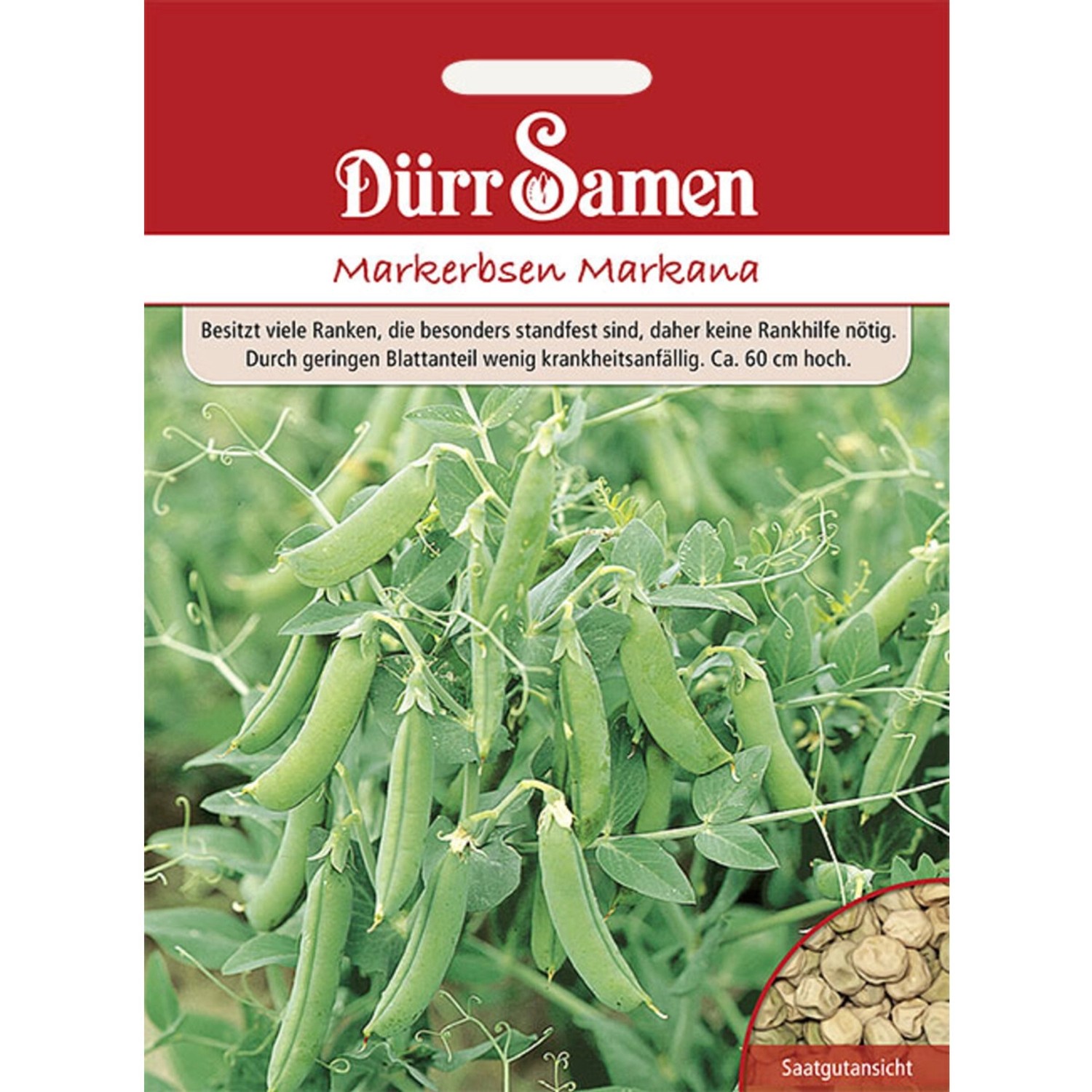 Dürr Samen Markerbsen Markana Saatgut günstig online kaufen