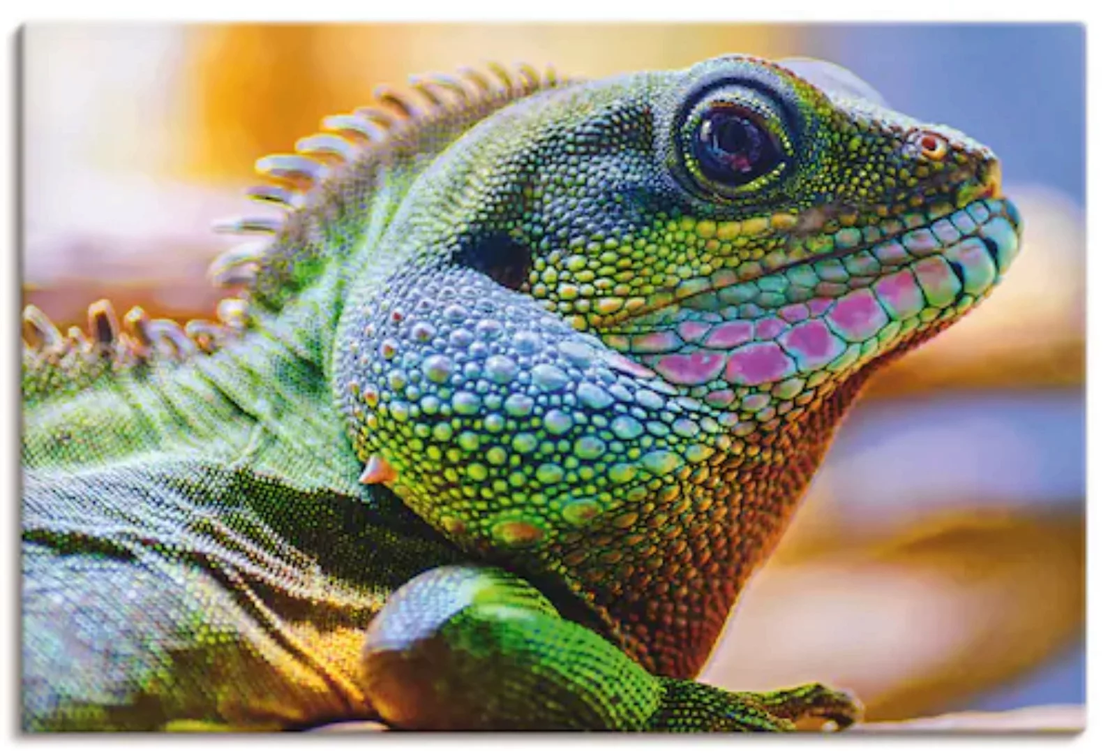 Artland Leinwandbild »Farbiger Kopf eines Leguan«, Reptilien, (1 St.) günstig online kaufen