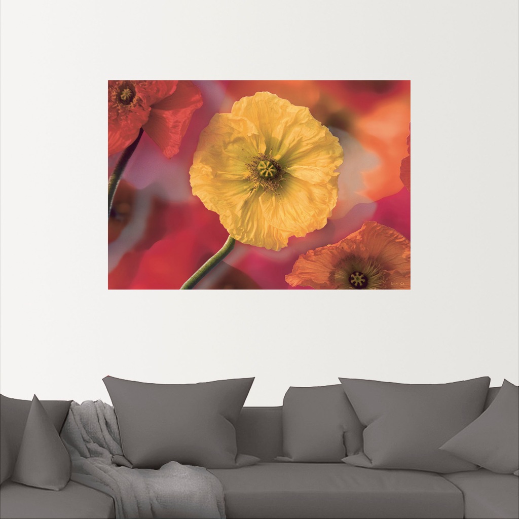 Artland Wandbild »Fotokollage Mohnblumen«, Blumenbilder, (1 St.), als Leinw günstig online kaufen