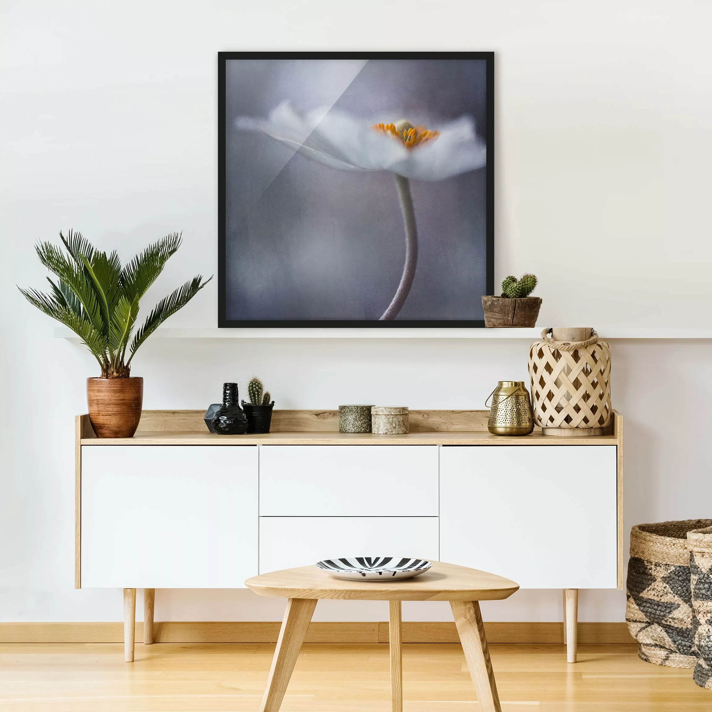 Bild mit Rahmen Blumen - Quadrat Weiße Anemonenblüte günstig online kaufen