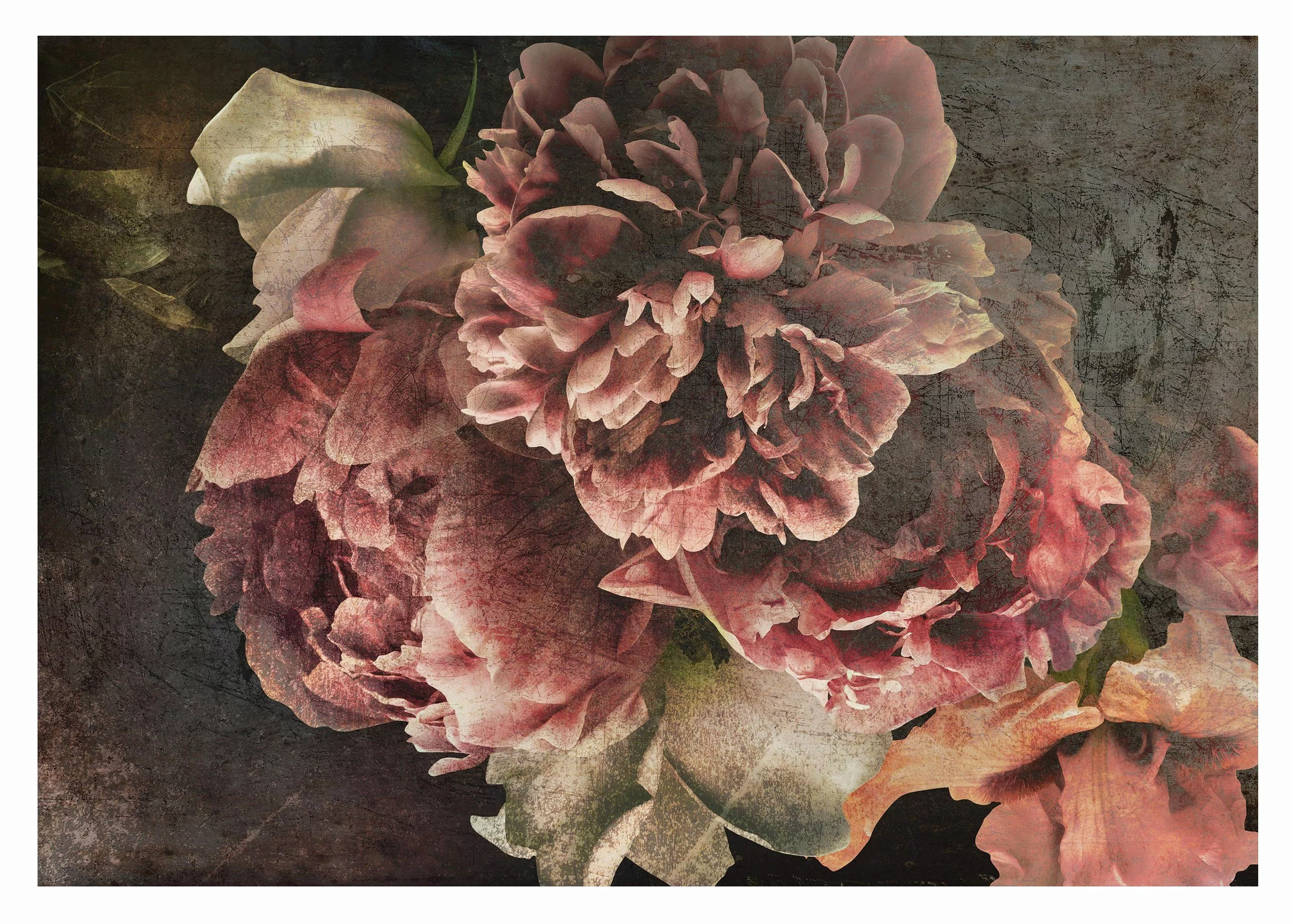 Wallarena Fototapete Blumen Vintage Rose Vlies günstig online kaufen