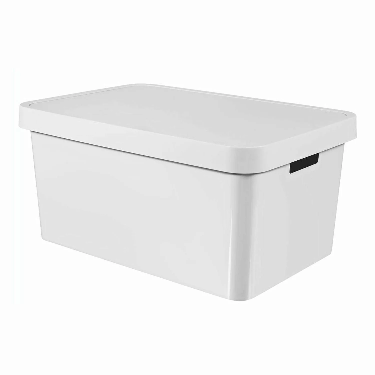 Curver Aufbewahrungsbox, Behälter mit Deckel Infinity günstig online kaufen