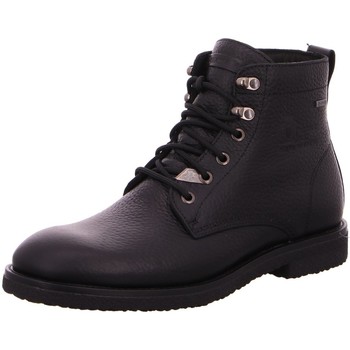 Panama Jack  Stiefel Glasgow GTX C8 günstig online kaufen