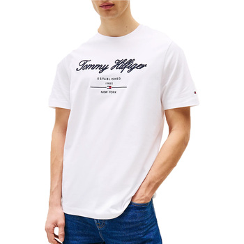 Tommy Hilfiger  T-Shirts & Poloshirts - günstig online kaufen