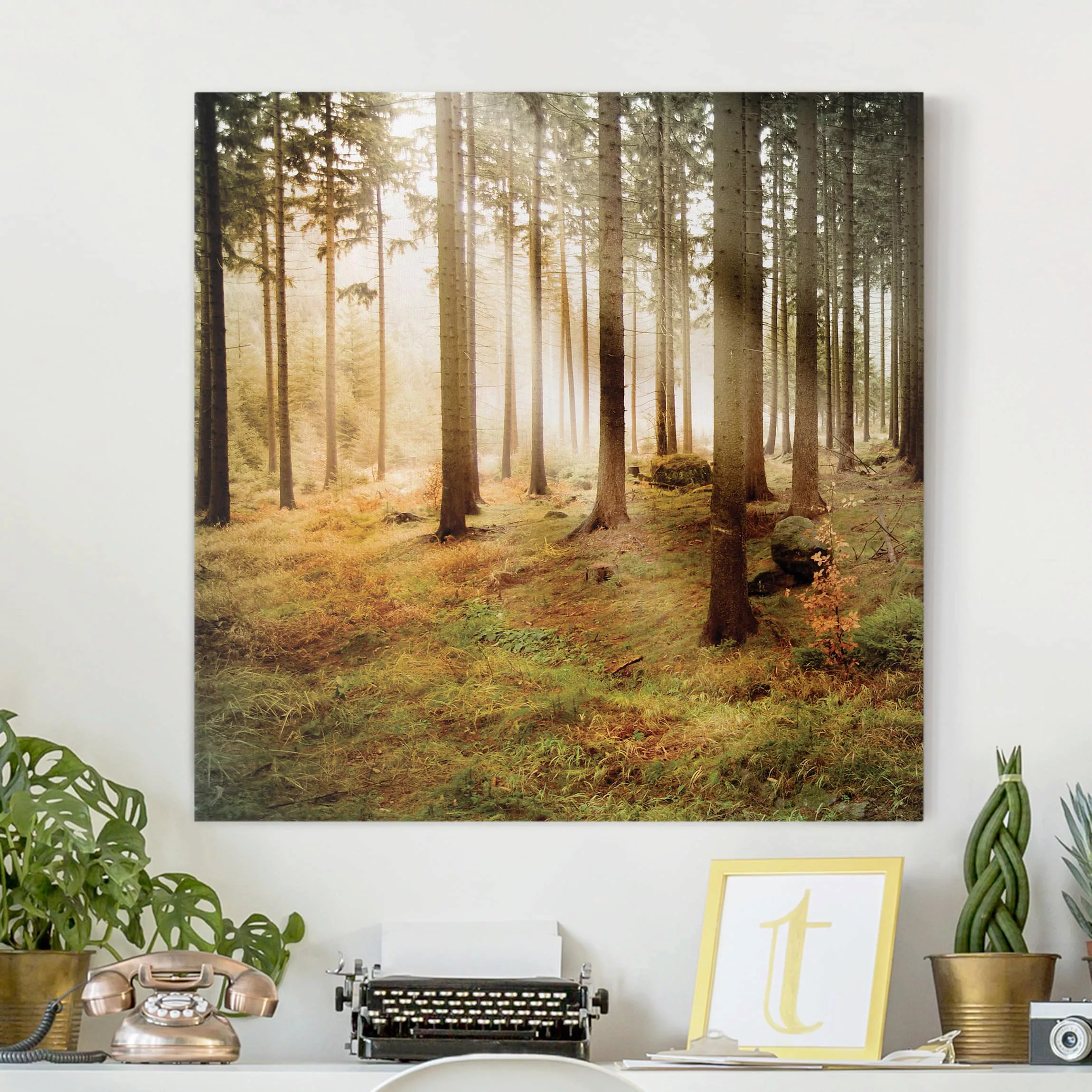 Leinwandbild Wald - Quadrat Morning Forest günstig online kaufen