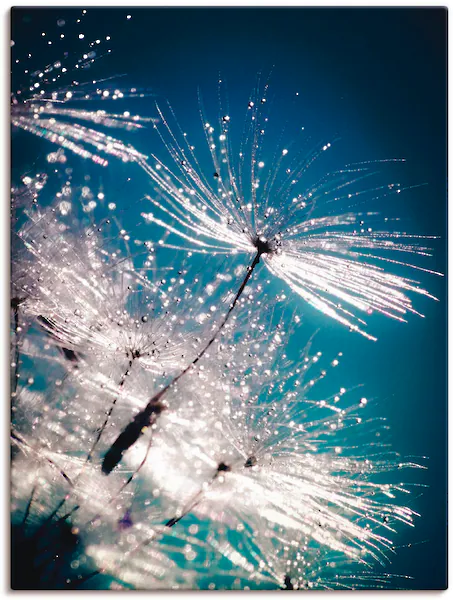 Artland Wandbild »Pusteblume Kristallschirmchen«, Blumen, (1 St.), auf Keil günstig online kaufen