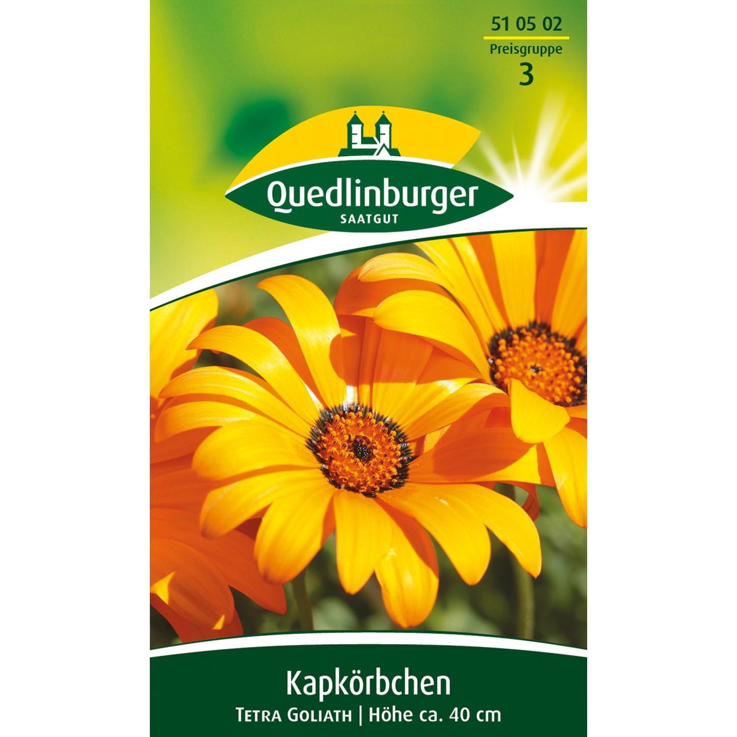 Quedlinburger Kapkörbchen ''Tetra Goliath'' günstig online kaufen