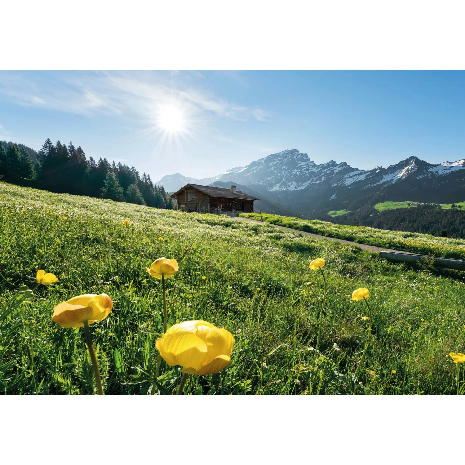 KOMAR Vlies Fototapete - Alpenglück - Größe 400 x 280 cm mehrfarbig günstig online kaufen