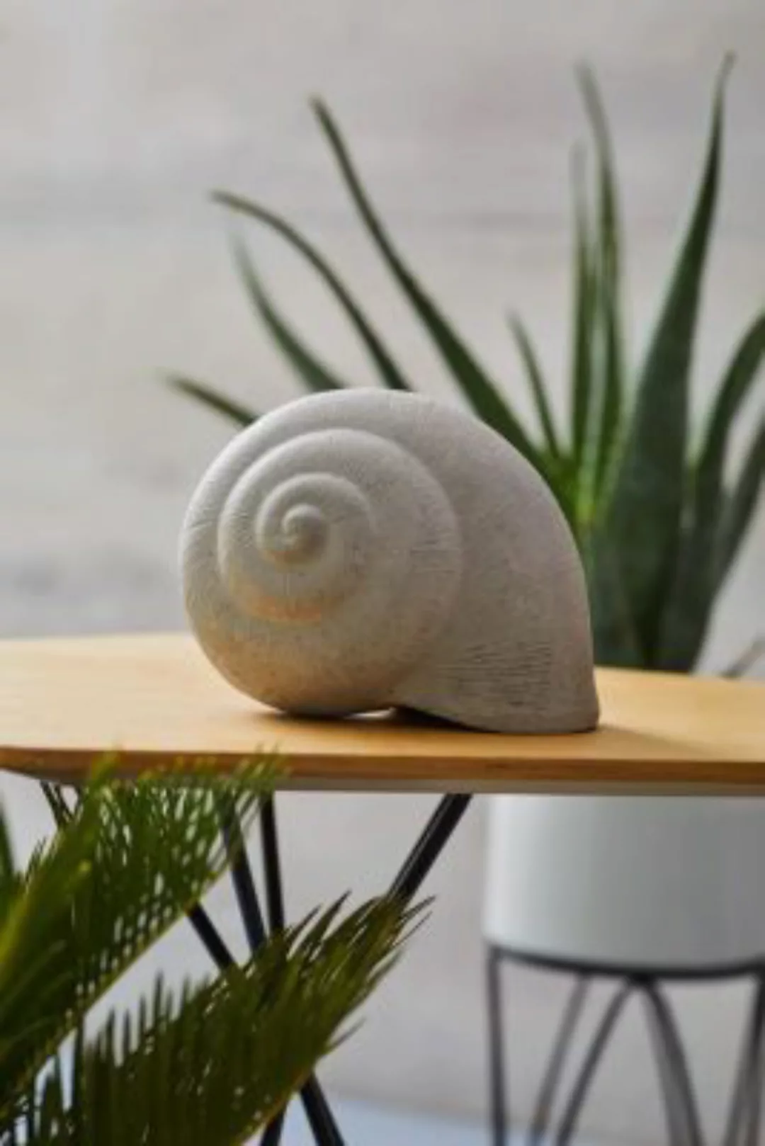 HOME Living Schneckenhaus Stone Dekoobjekte grau günstig online kaufen