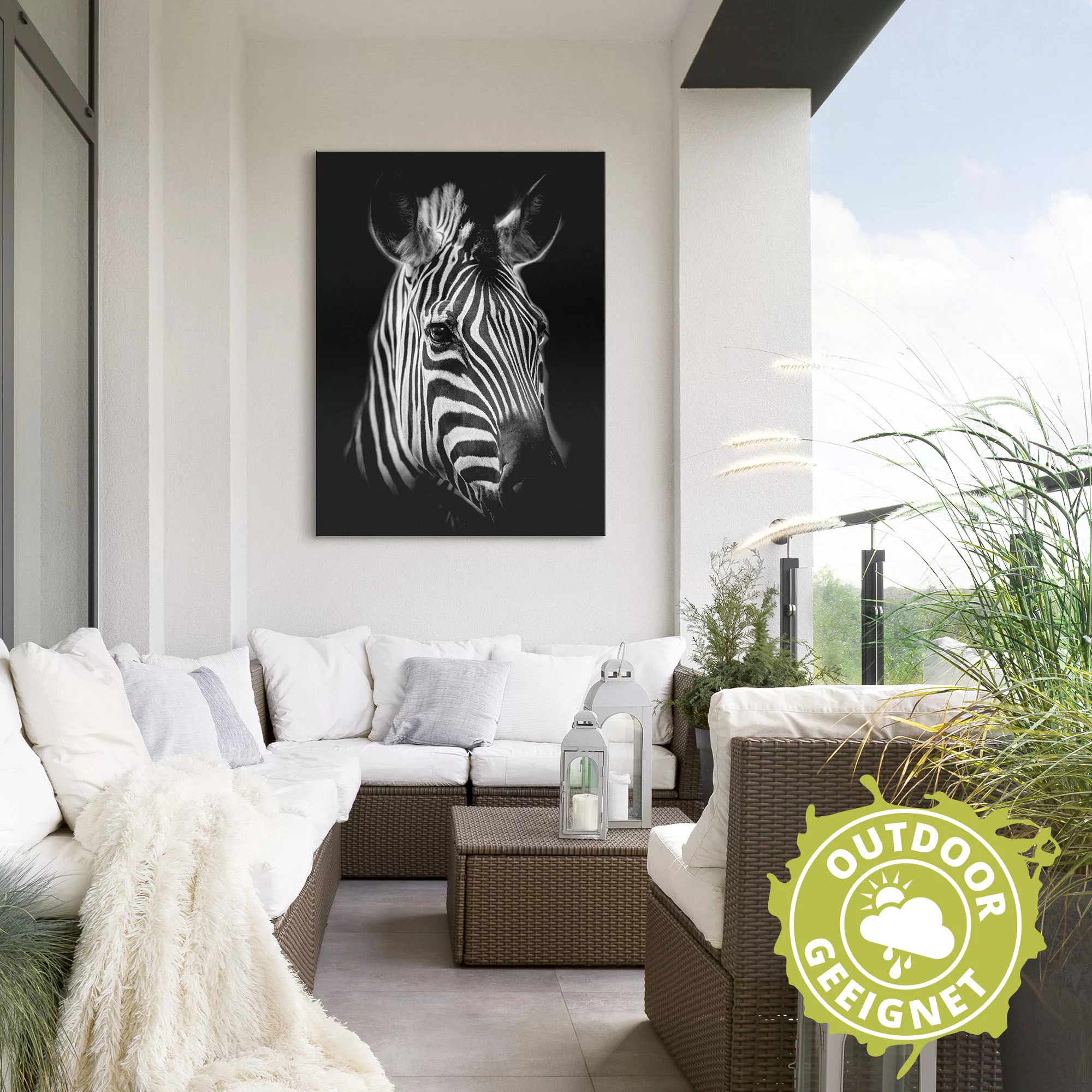 Artland Wandbild "Zebra", Zebra Bilder, (1 St.), als Alubild, Outdoorbild, günstig online kaufen