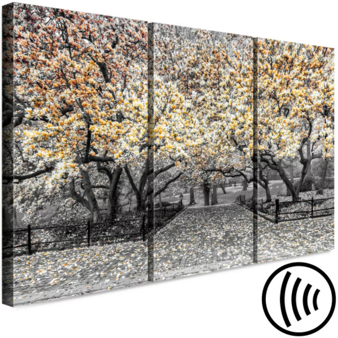 Wandbild Blühende Magnolie - Triptychon mit Magnolienbäumen und gelben Blum günstig online kaufen