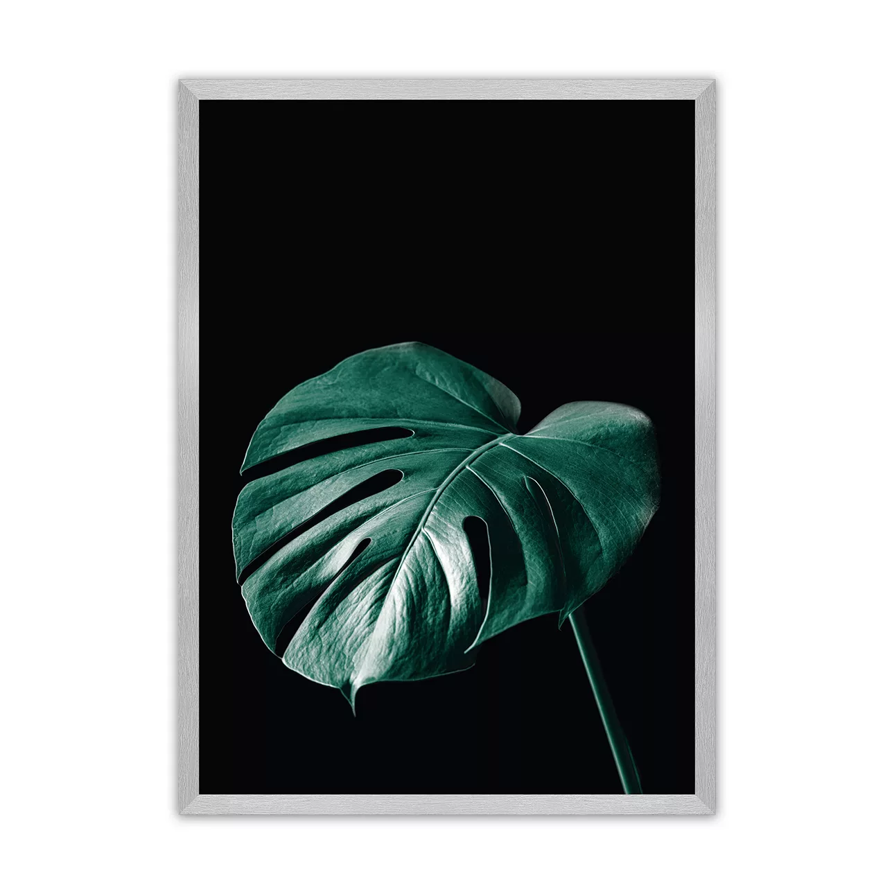 Poster Dark Monstera, 50 x 70 cm, Rahmen wählen: silber günstig online kaufen