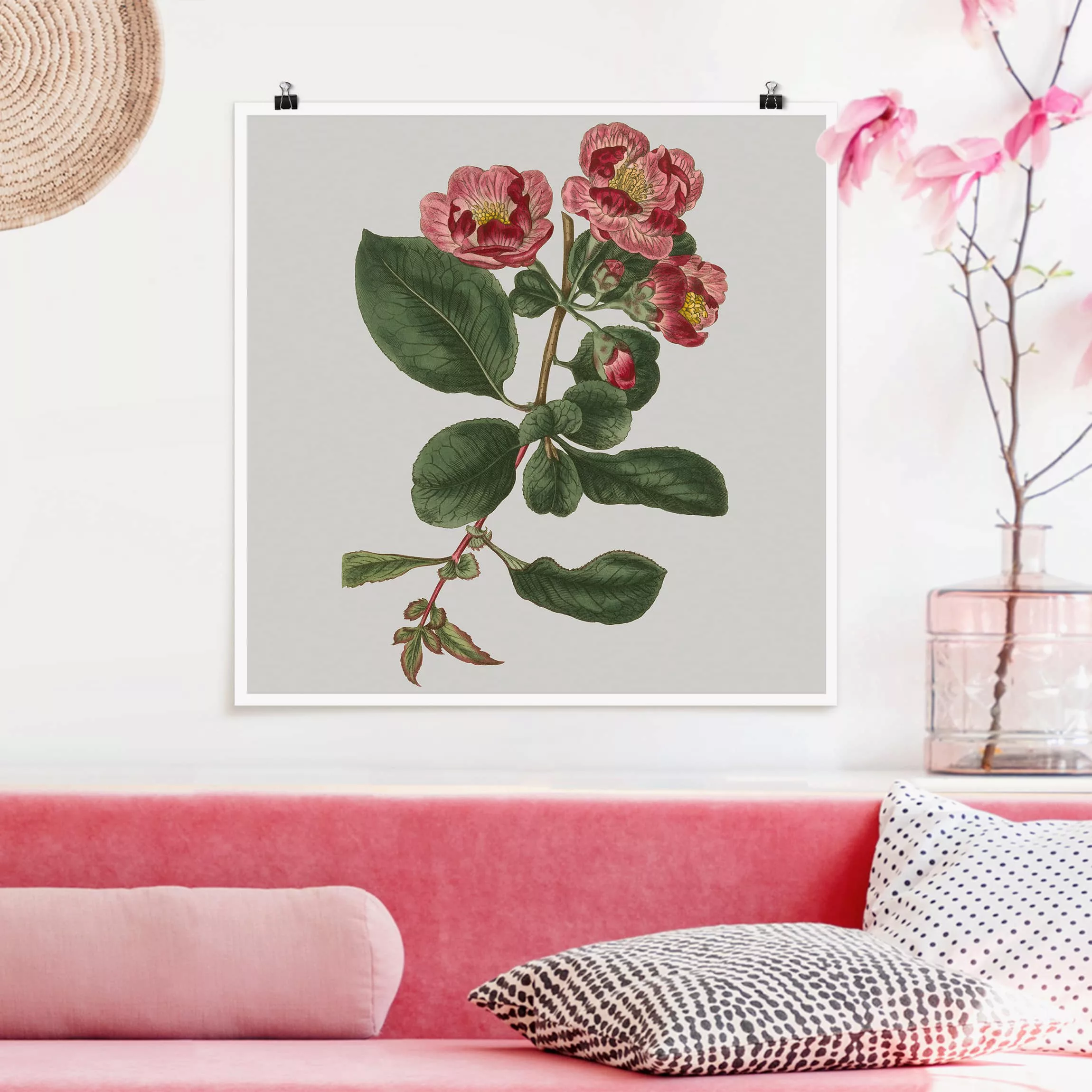 Poster Blumen - Quadrat Florale Schmuckstücke I günstig online kaufen