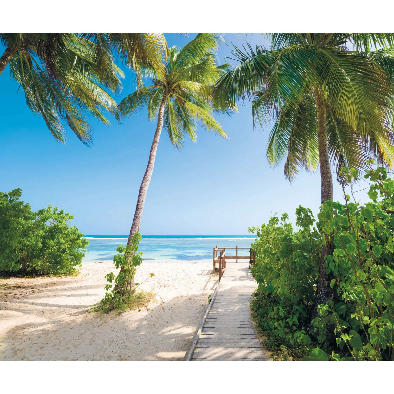 Komar Vliestapete »Palmy Beach«, 300x250 cm (Breite x Höhe), Vliestapete, 1 günstig online kaufen