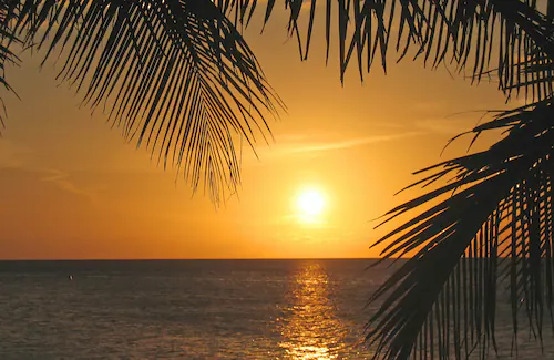 Papermoon Fototapete »SONNENUNTERGANG-PALMEN STRAND MEER SEE OZEAN KARIBIK« günstig online kaufen