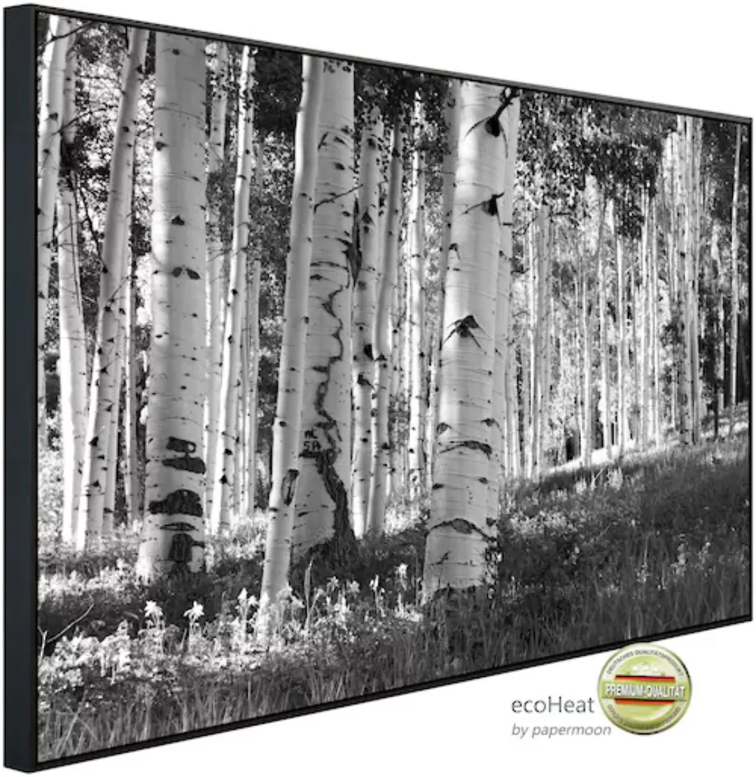 Papermoon Infrarotheizung »Birkenwald Schwarz & Weiß«, sehr angenehme Strah günstig online kaufen