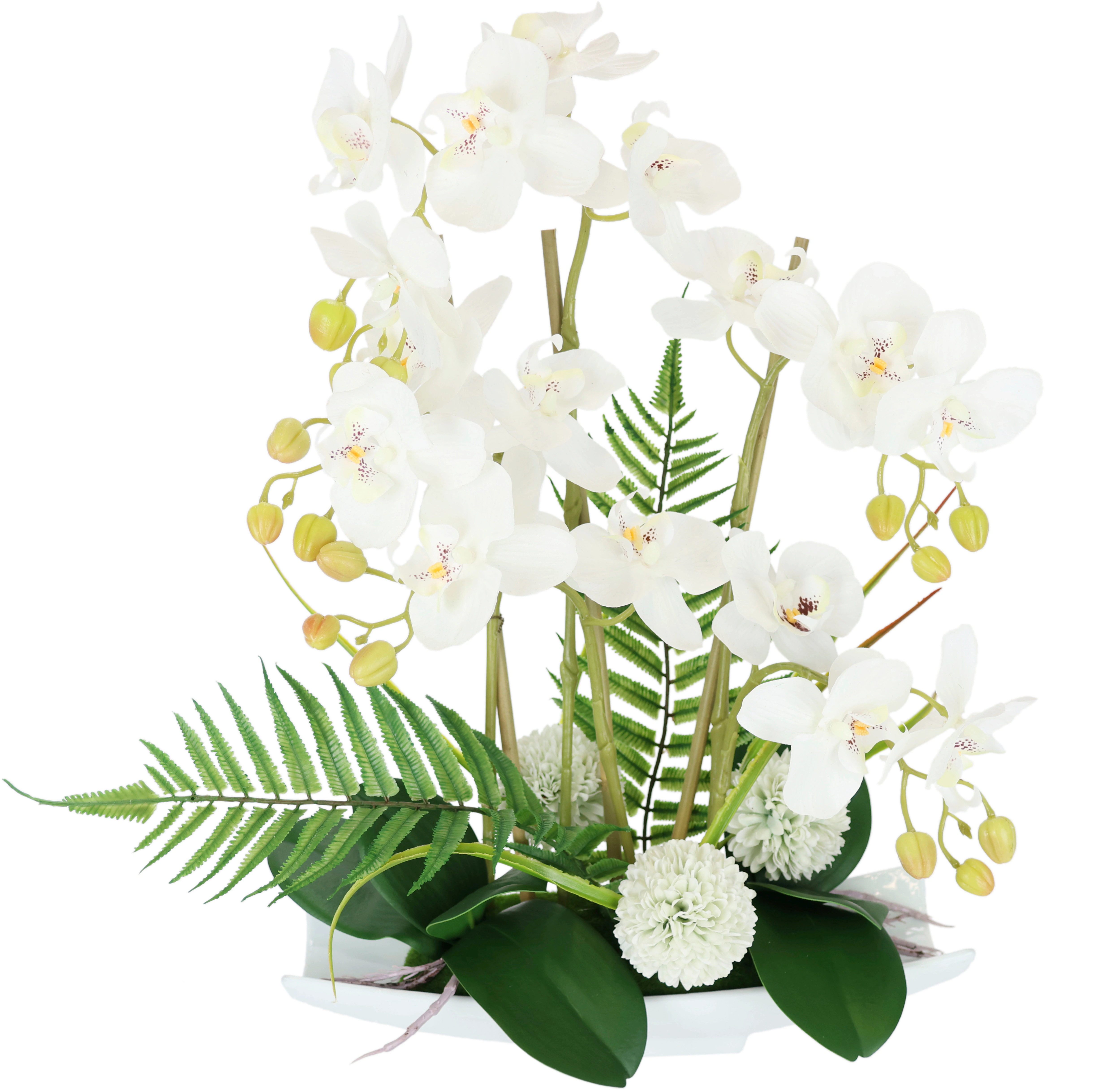I.GE.A. Kunstblume "Orchideen" günstig online kaufen